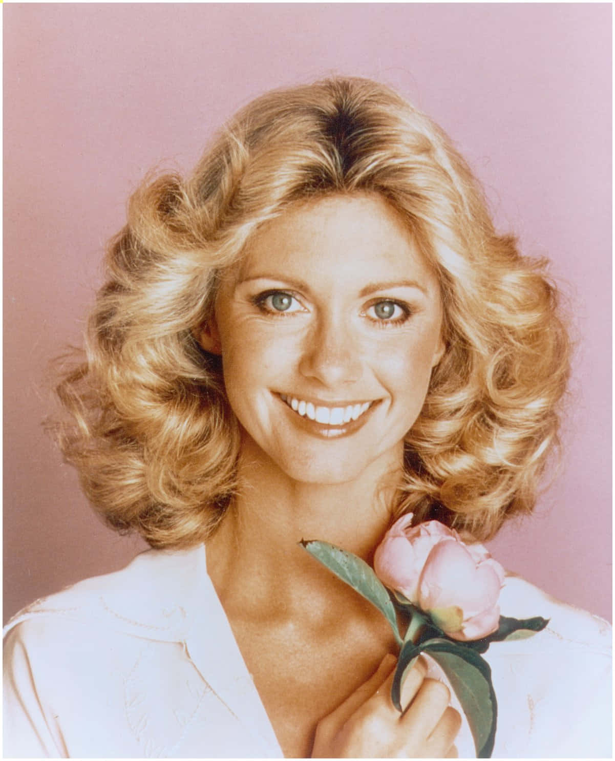 Olivia Newton John, pink rose, soft pink studio backdrop, HD Phone Wallpaper