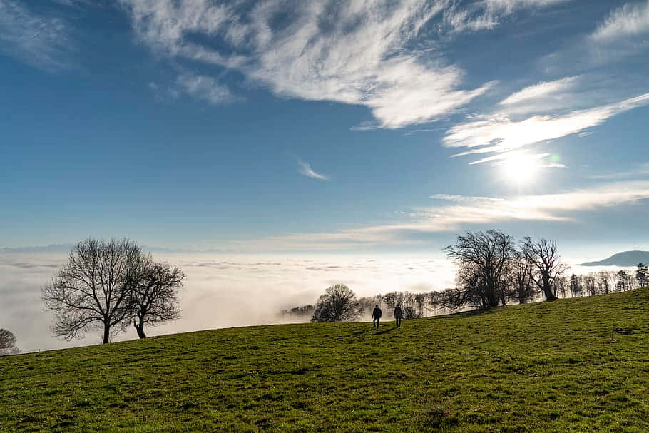 Olten, sunlit grassy hill, sea of clouds, SD Desktop Wallpaper