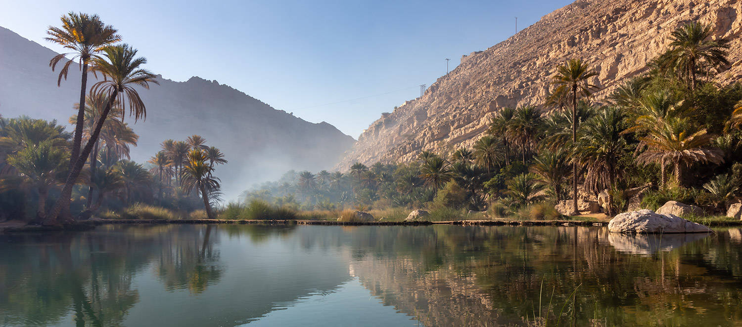 Oman River, clear water, palm trees, HD Desktop Wallpaper