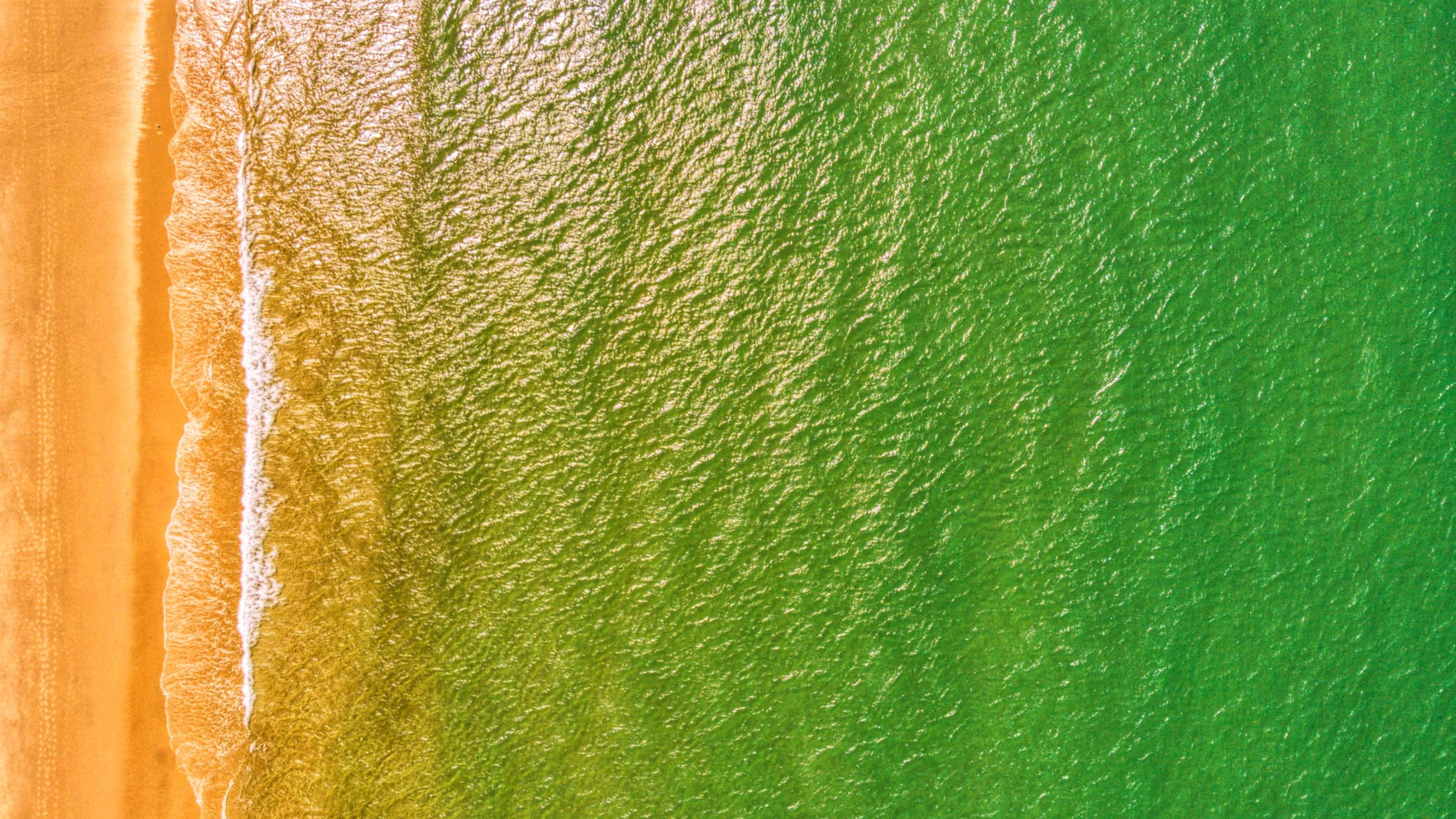 sea ombre, vibrant green ocean, golden sandy shore, 2K Desktop Wallpaper