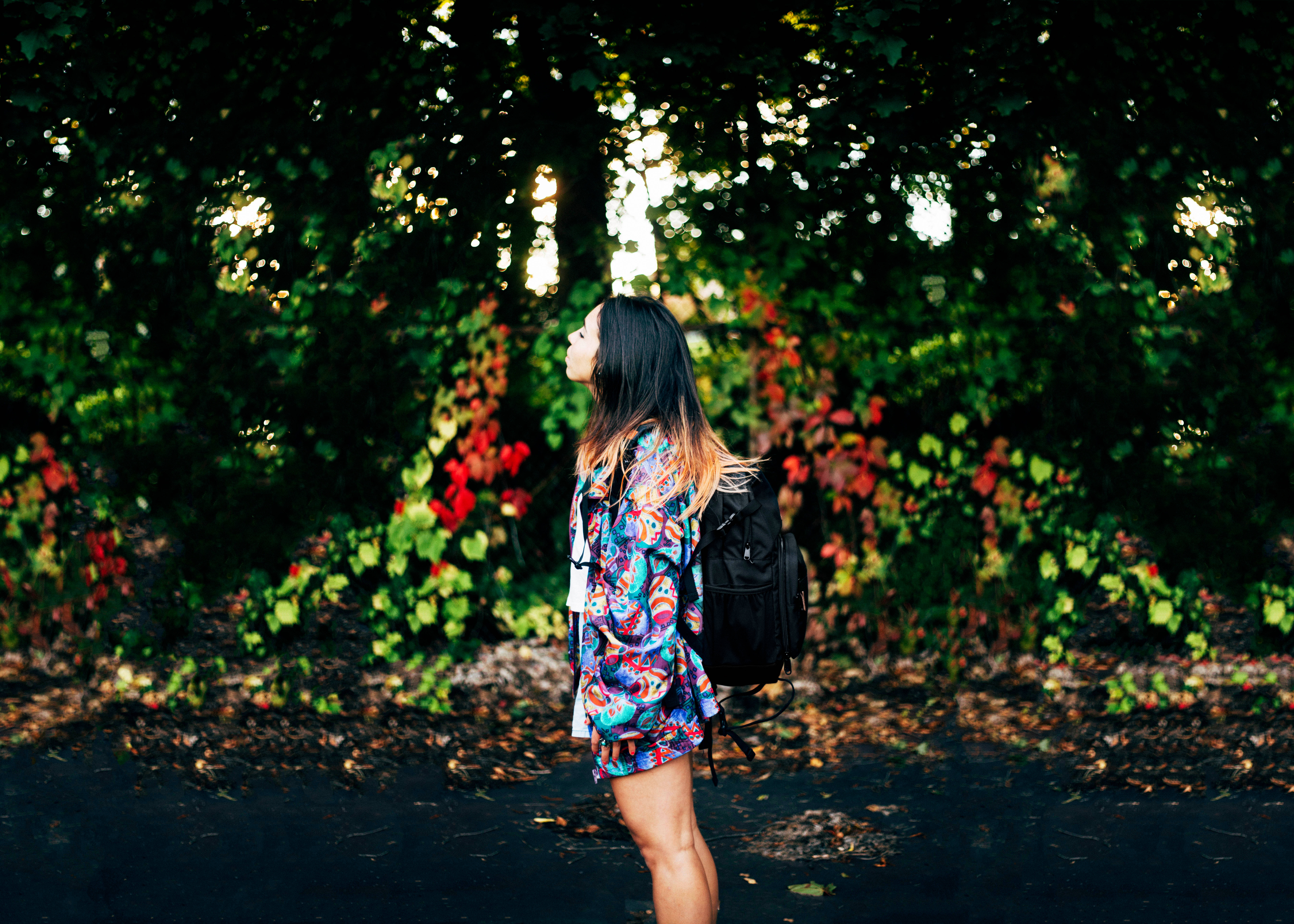 woman, ombre hairstyle, sun-dappled forest, 5K Desktop Wallpaper