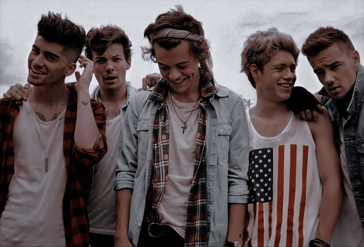 One Direction Aesthetic, five young men, distinct hairstyles, SD Desktop Wallpaper
