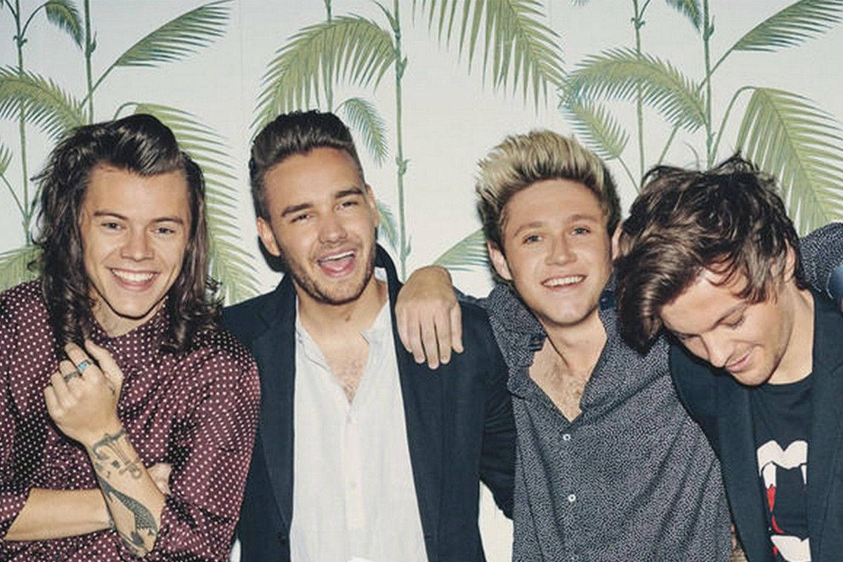 One Direction, tropical palm leaf wallpaper, four smiling men, SD Desktop Wallpaper