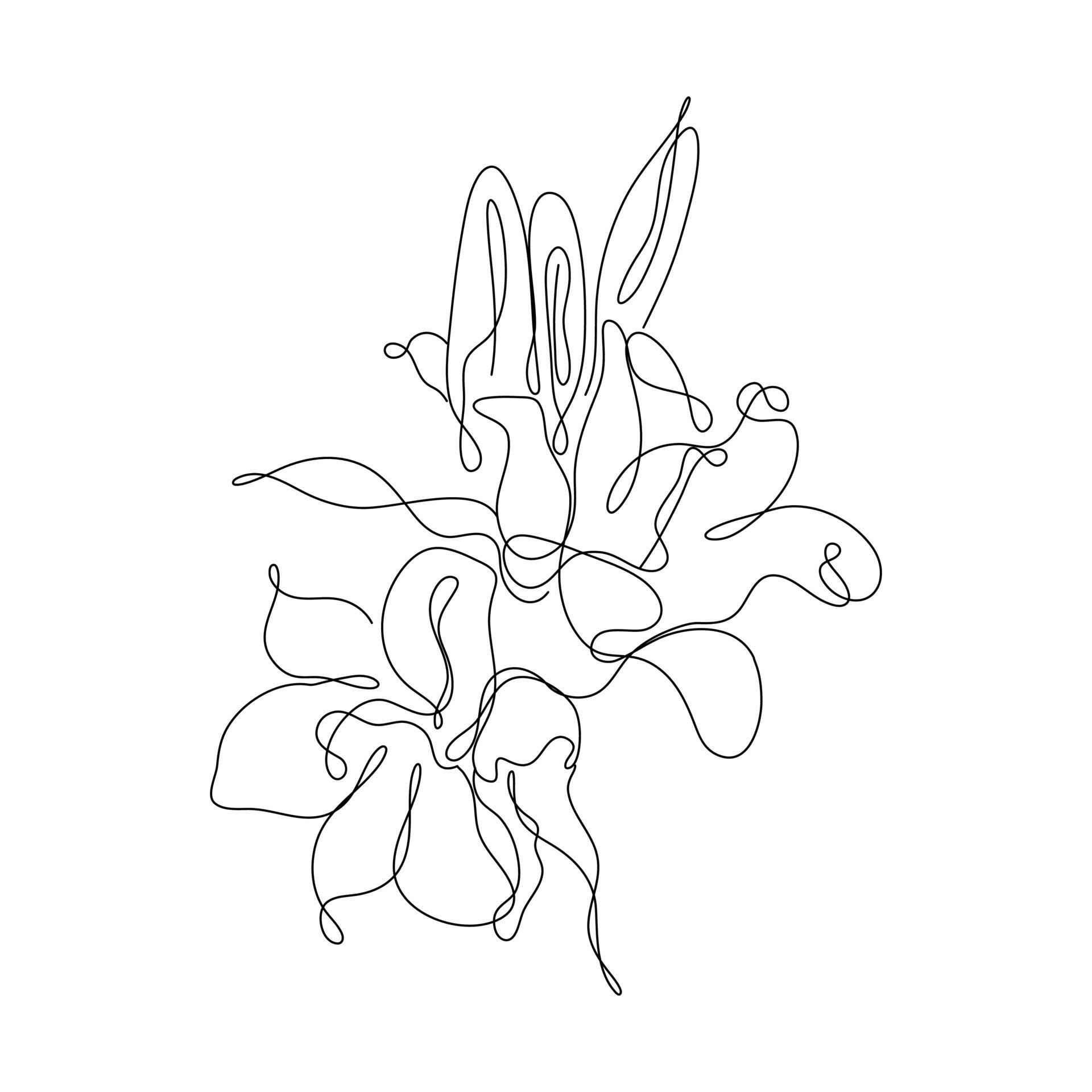 One Line Drawing, flower petals, minimalist black line drawing, Full HD Desktop Wallpaper