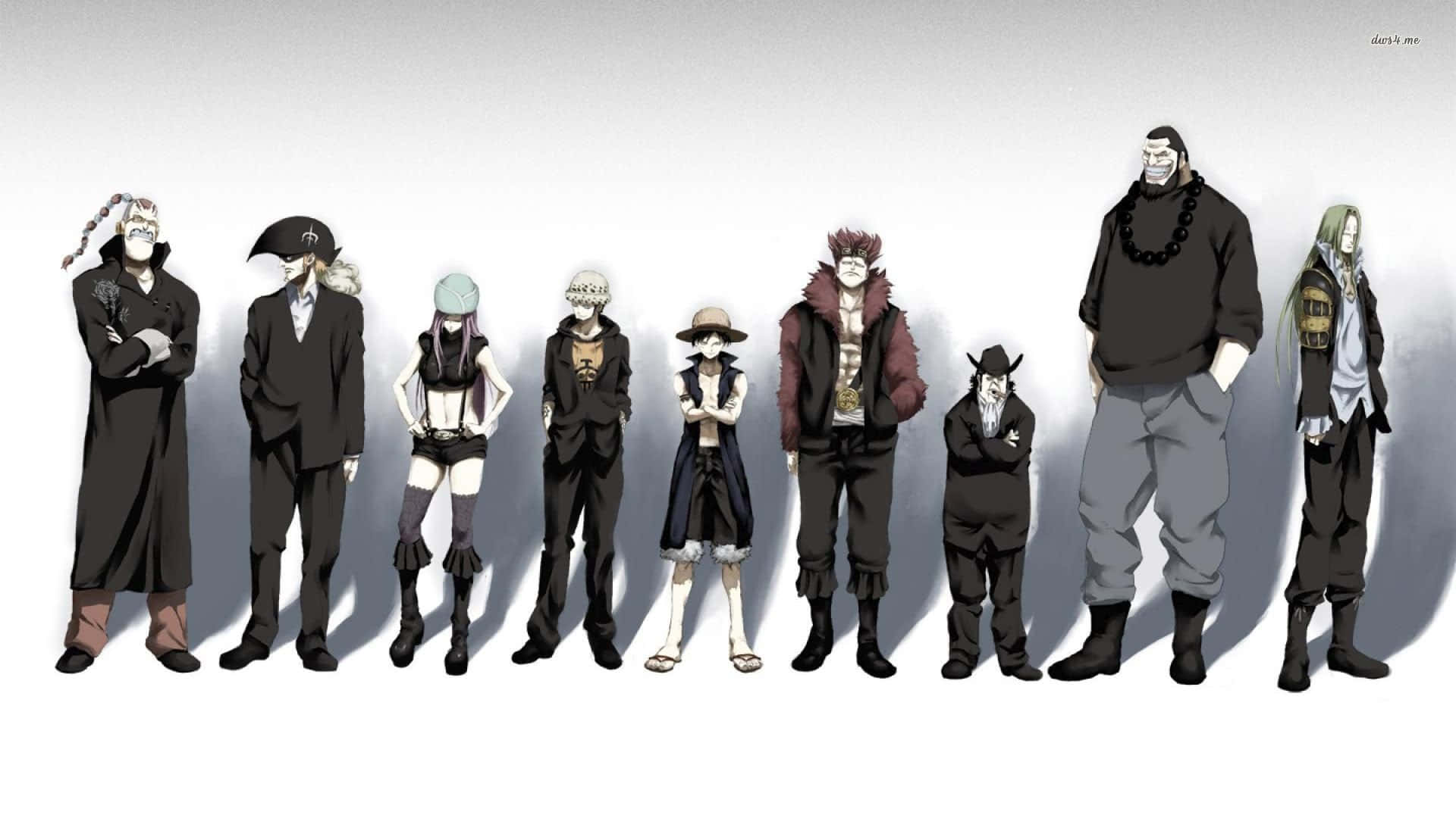 One Piece, anime characters, pale skin, Full HD Desktop Wallpaper