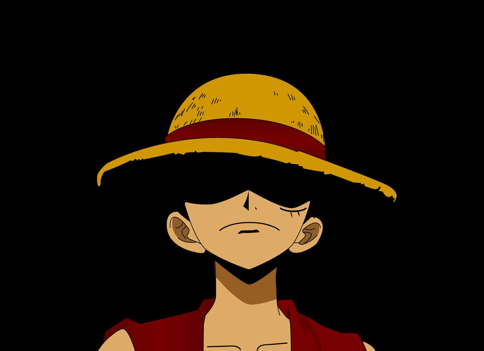 One Piece Anime, straw hat, red vest, HD Desktop Wallpaper