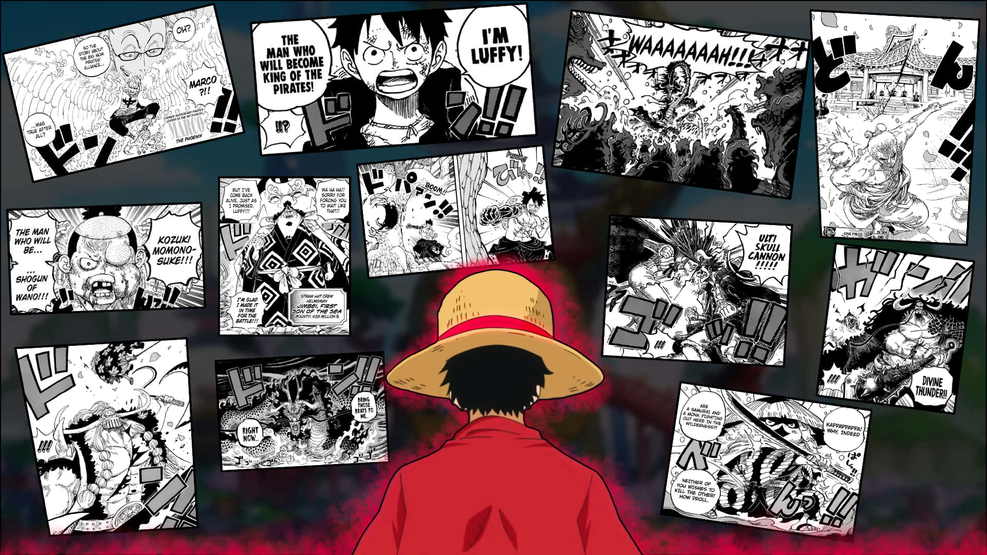 One Piece, straw hat, red coat, Full HD Desktop Wallpaper