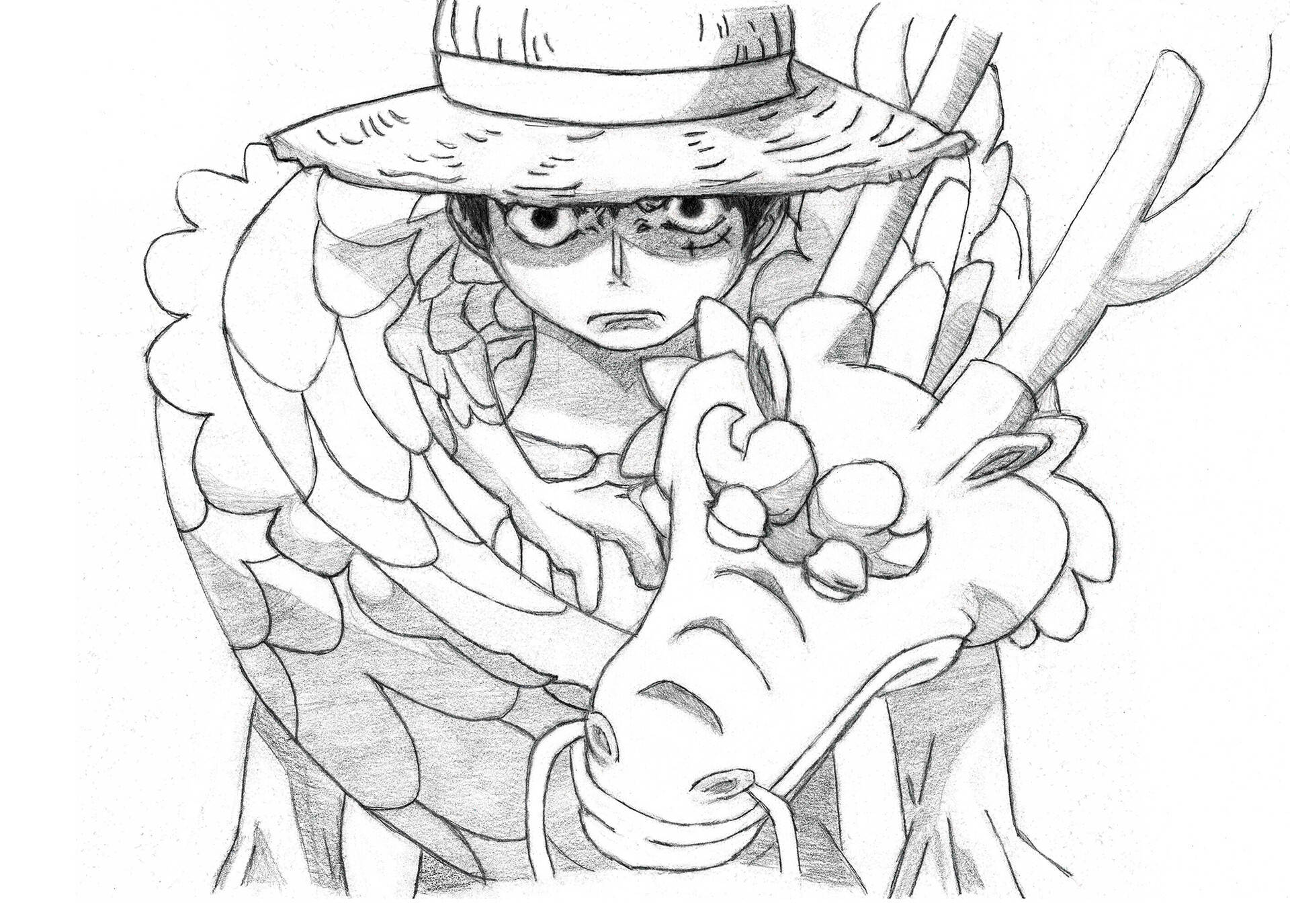 One Piece Anime, straw hat, sword, Full HD Desktop Wallpaper