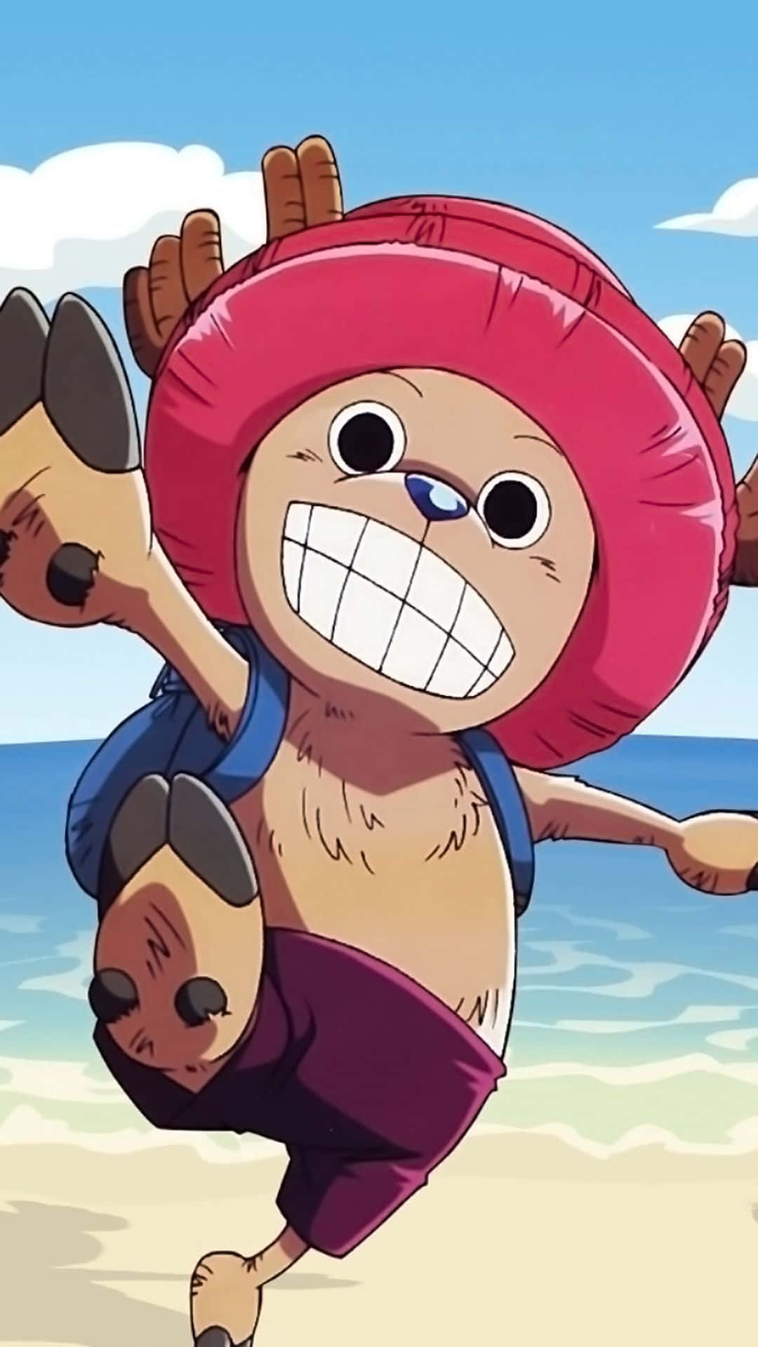One Piece Chopper, pink hat, backpack, Full HD Phone Wallpaper