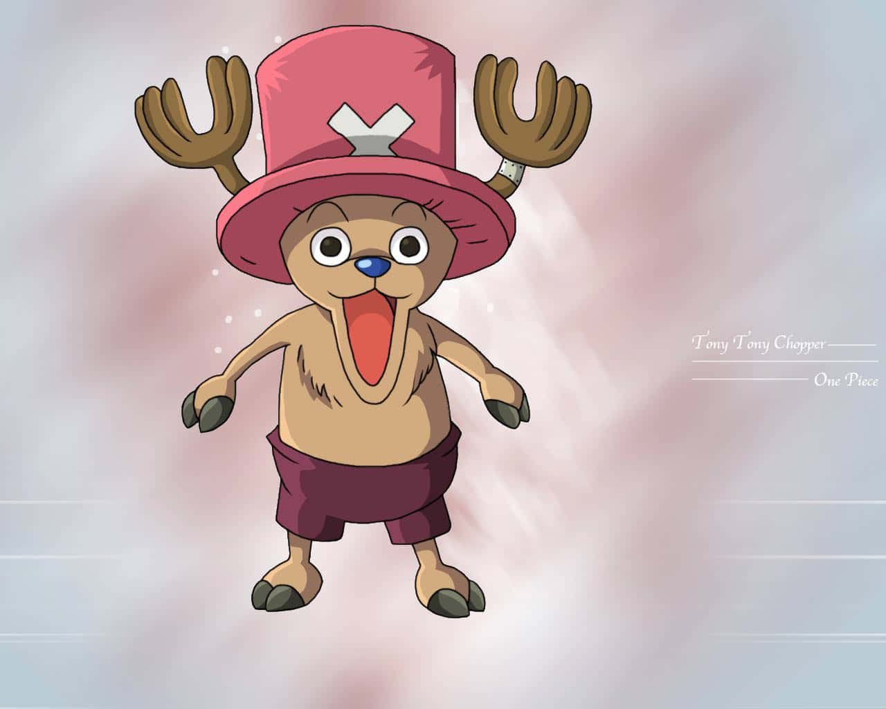 One Piece Chopper, anime reindeer boy, pink hat, HD Desktop Wallpaper