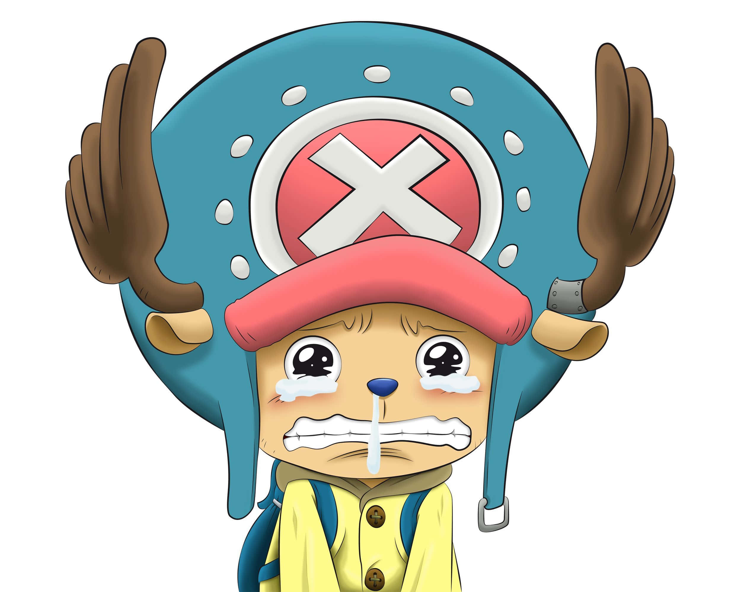 One Piece Chopper, blue hat, red bandana, Full HD Desktop Wallpaper