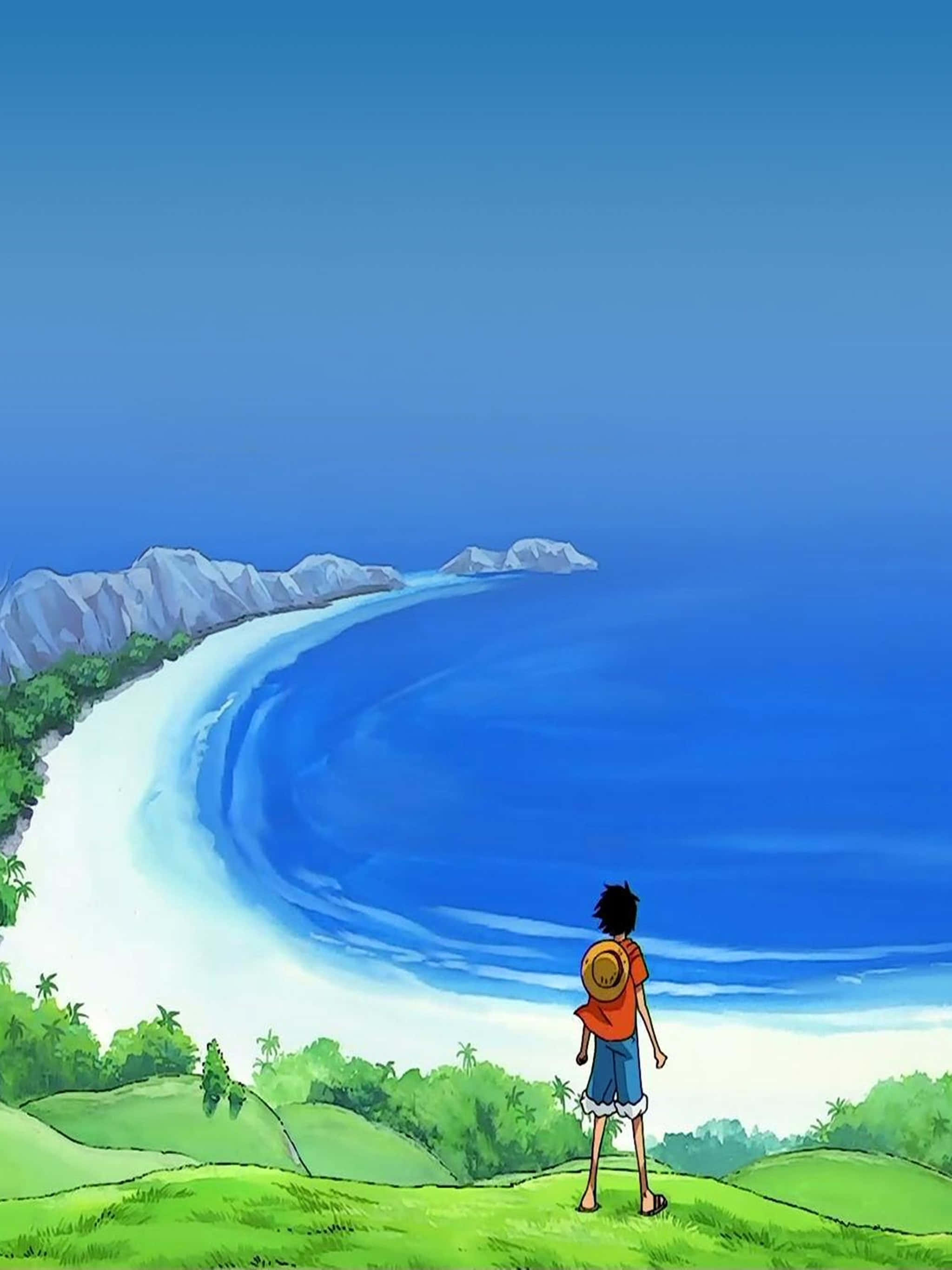 One Piece, straw hat, red shirt, 2K Phone Wallpaper