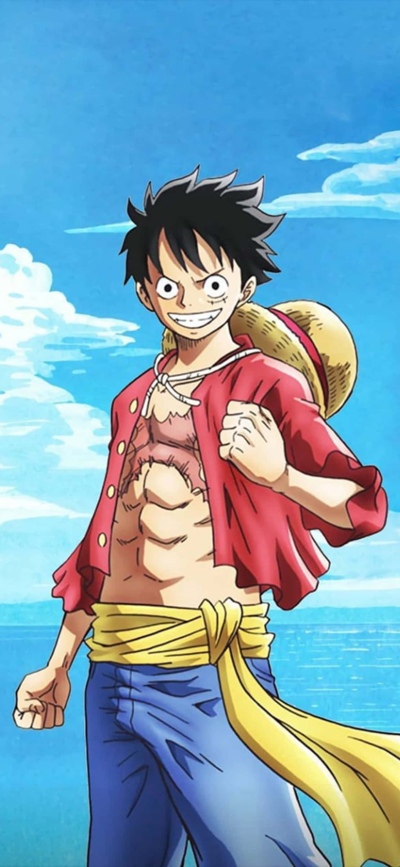 One Piece, Luffy, straw hat, 2K Phone Wallpaper