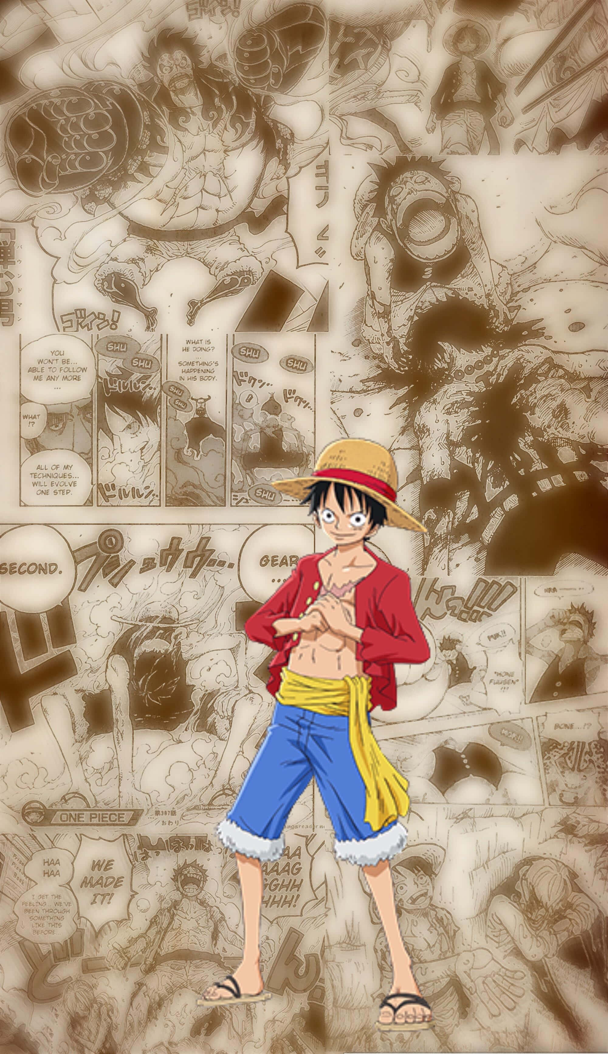 One Piece, Luffy, anime wallpaper, 2K Phone Wallpaper
