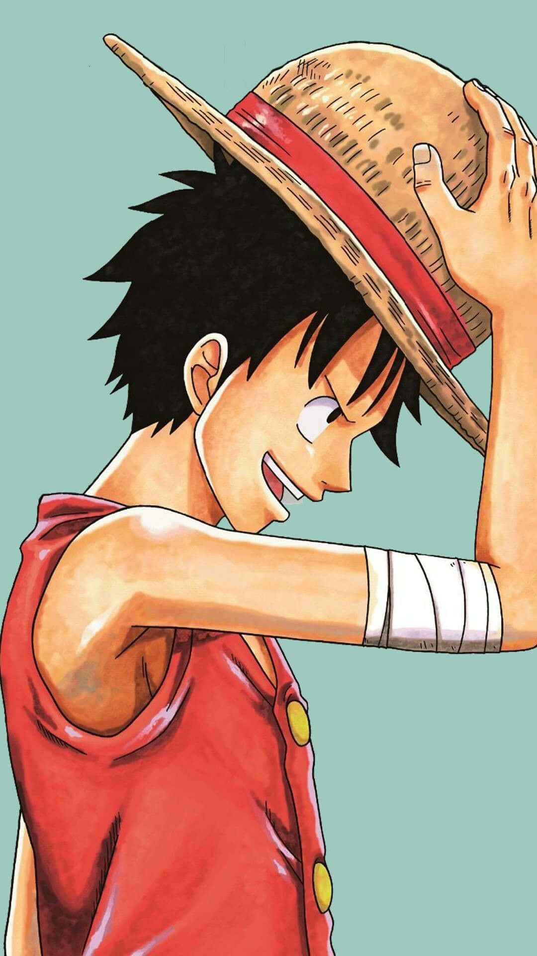 One Piece, Luffy, straw hat, Full HD Phone Wallpaper
