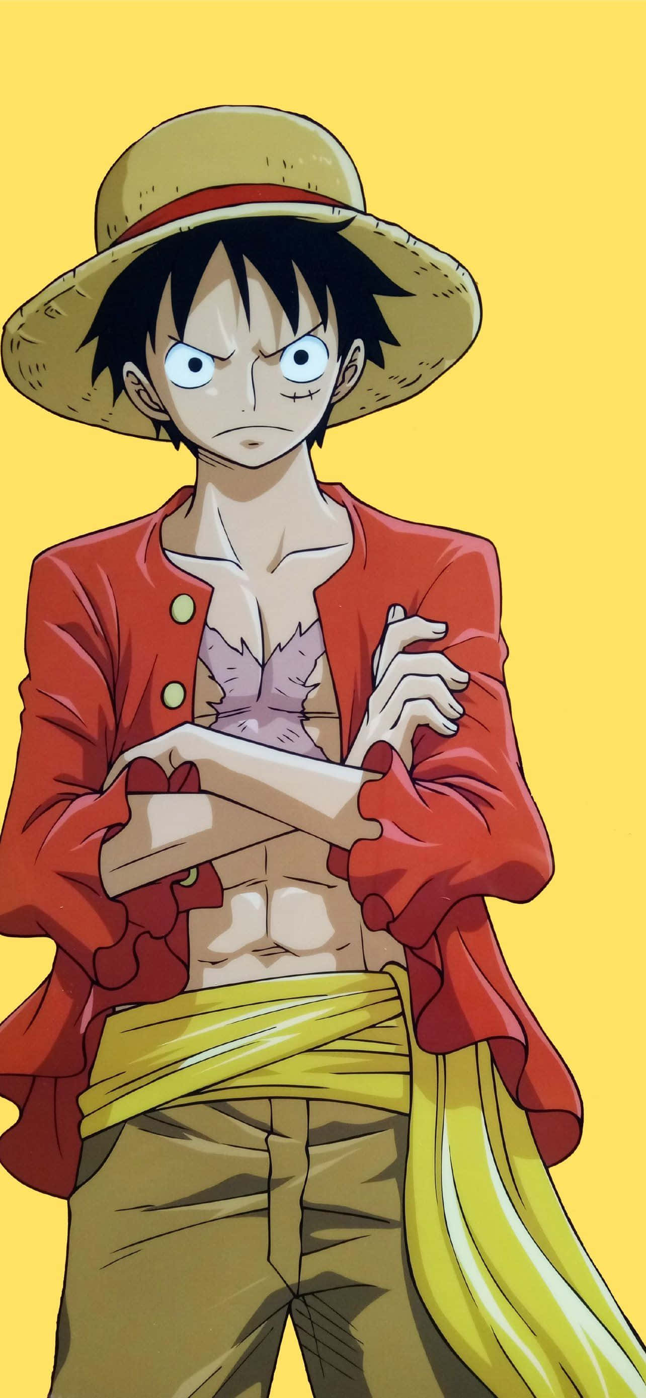 One Piece, Luffy, straw hat, 2K Phone Wallpaper