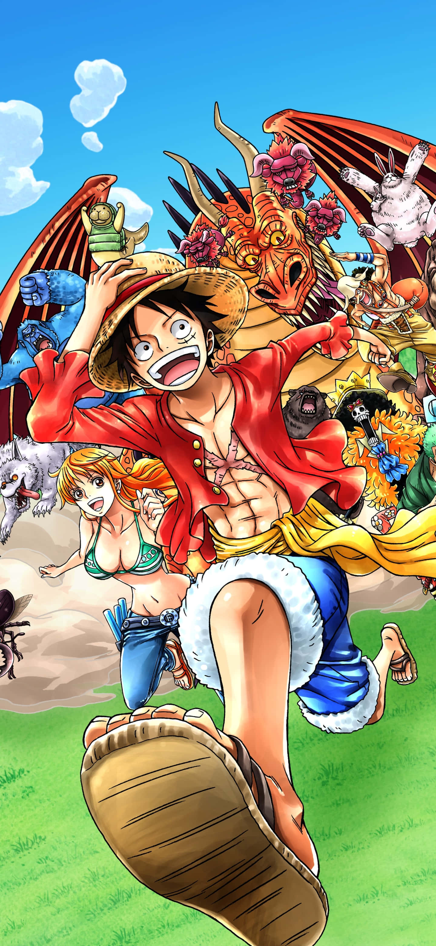 One Piece, Luffy, iPhone, 2K Phone Wallpaper