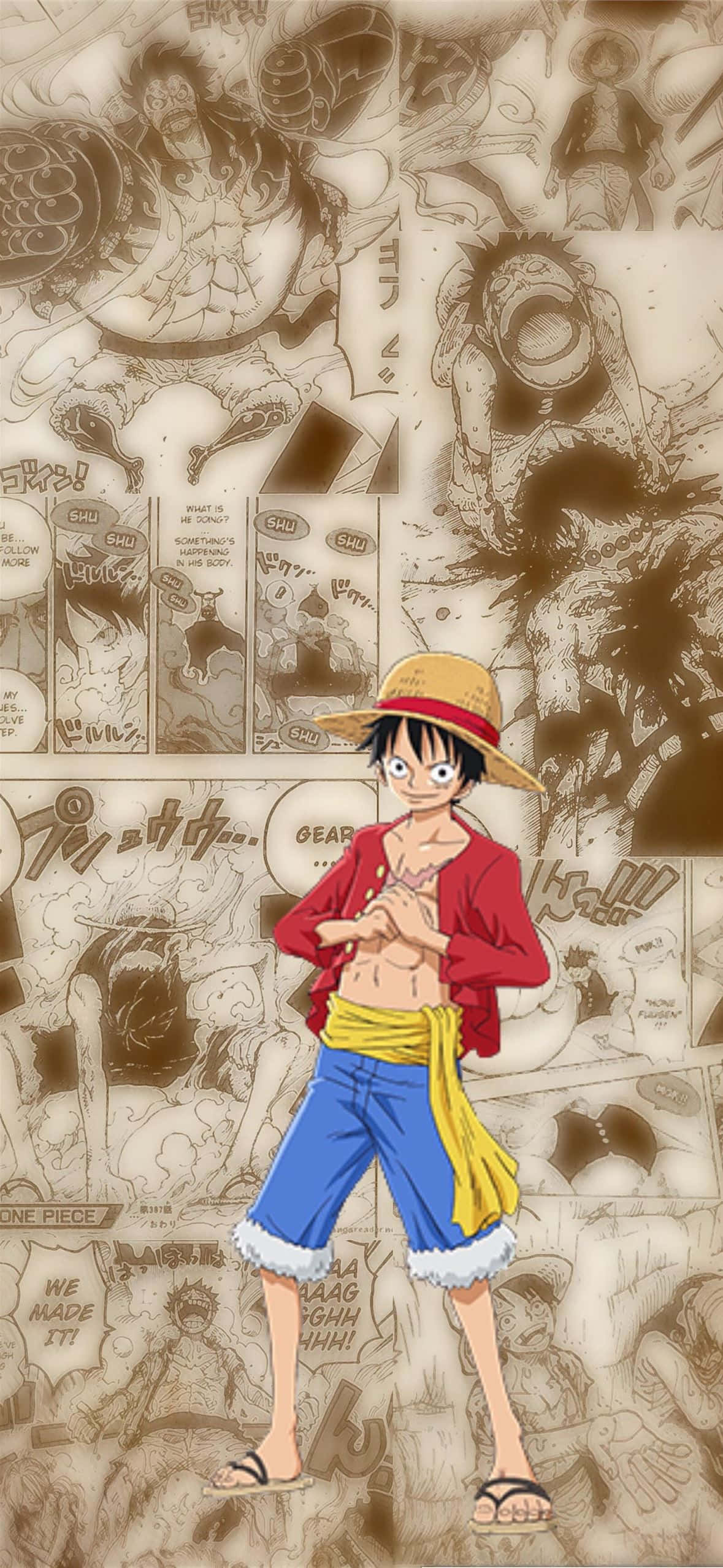 One Piece, Luffy, anime character, Full HD Phone Wallpaper
