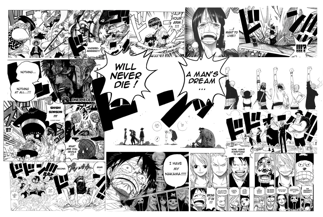 One Piece Manga