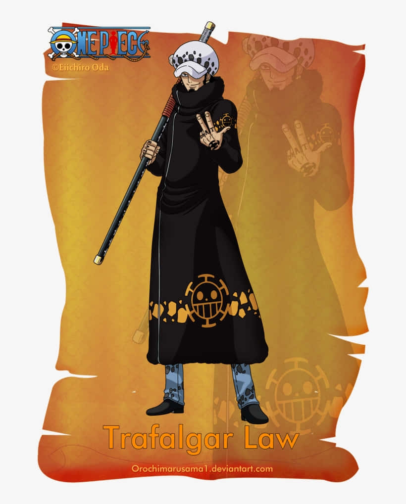 One Piece, Trafalgar Law, black coat, SD Phone Wallpaper