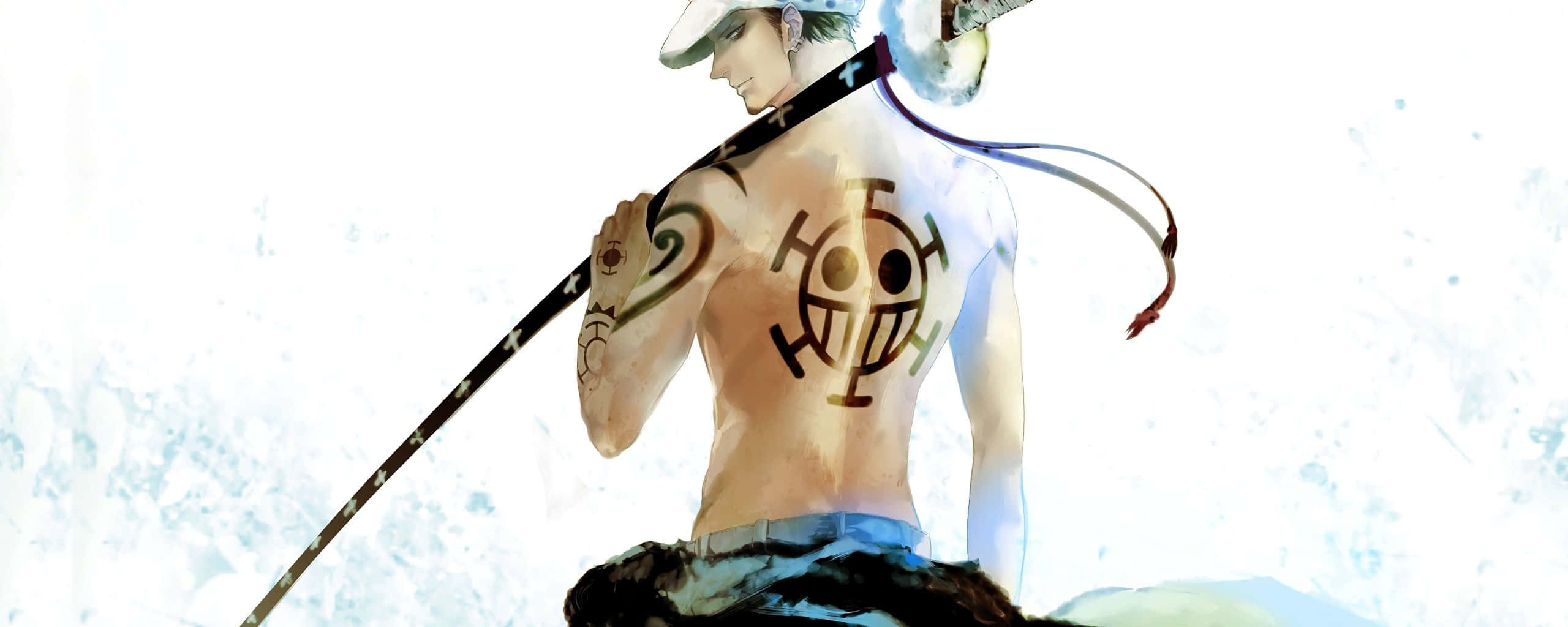 Trafalgar Law, One Piece, straw hat, 2K Desktop Wallpaper