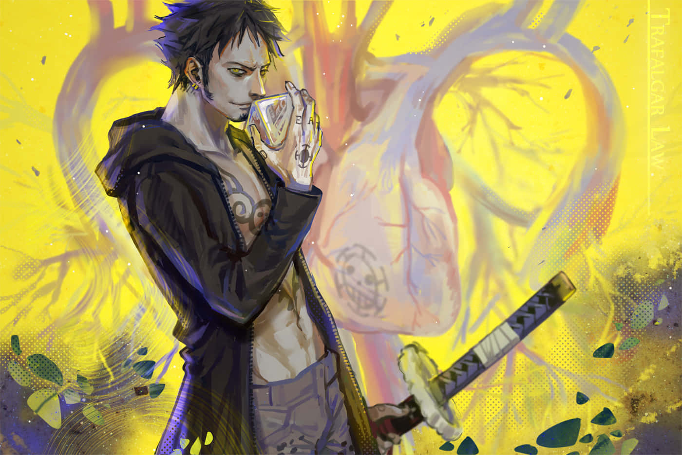 One Piece, Trafalgar Law, black hoodie, HD Desktop Wallpaper