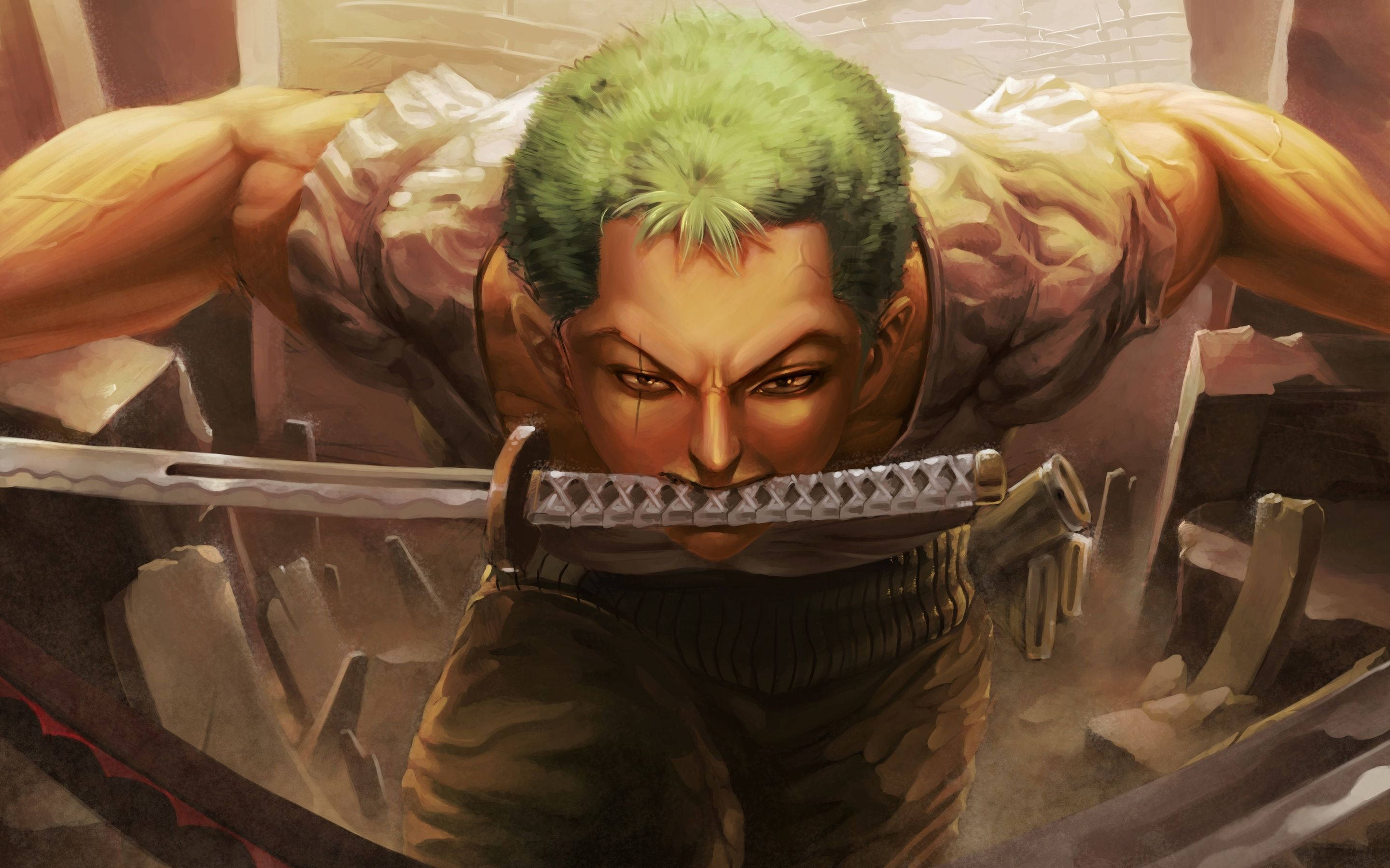 One Piece, Zoro, 4K, 2K Desktop Wallpaper
