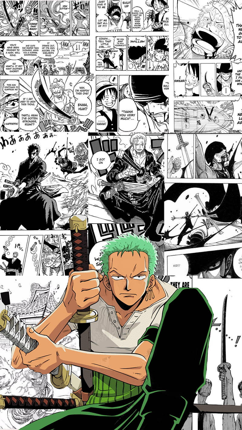 Zoro, One Piece, green-haired swordsman, HD Phone Wallpaper