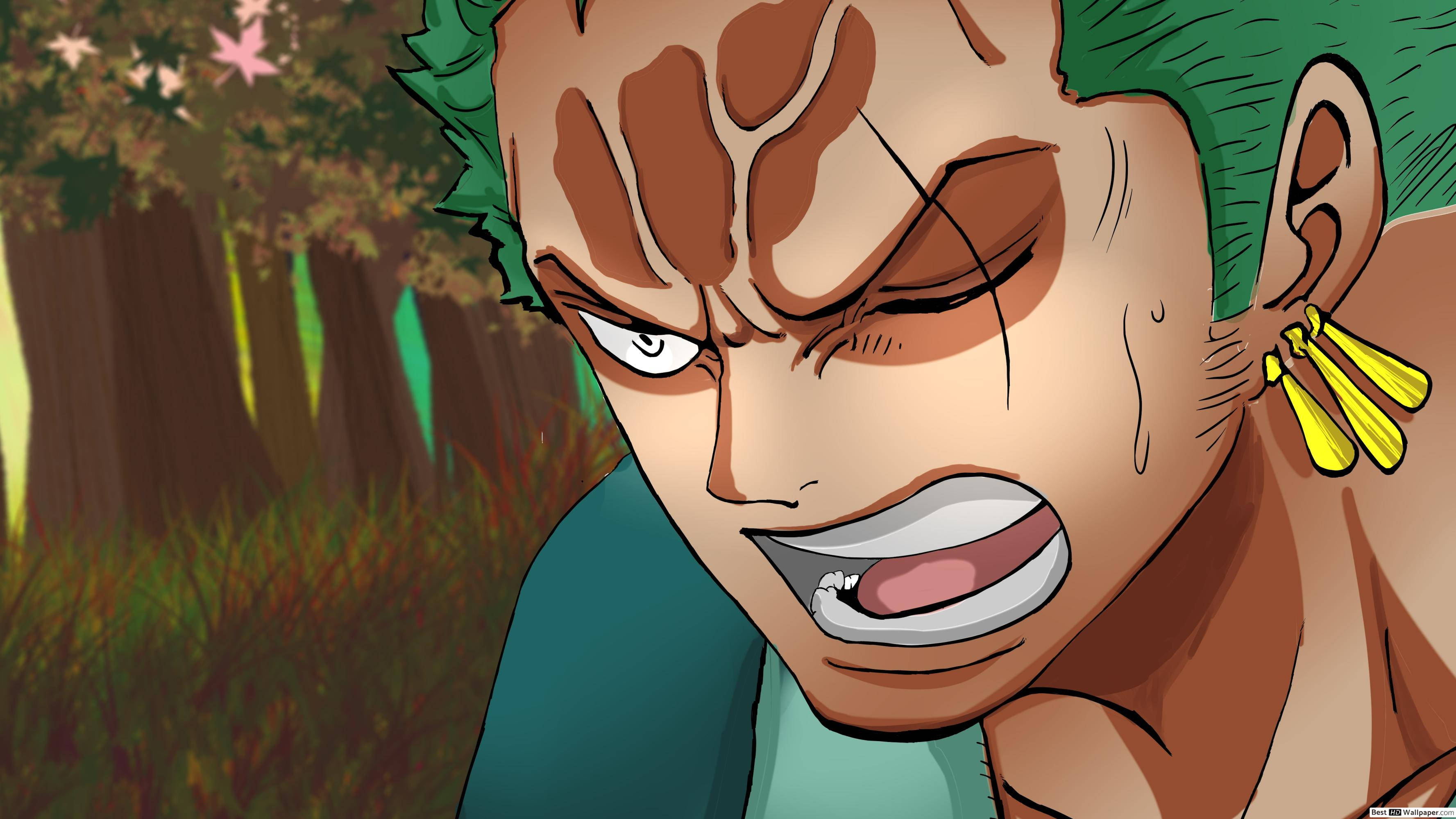One Piece Zoro, green hair, yellow earrings, 2K Desktop Wallpaper