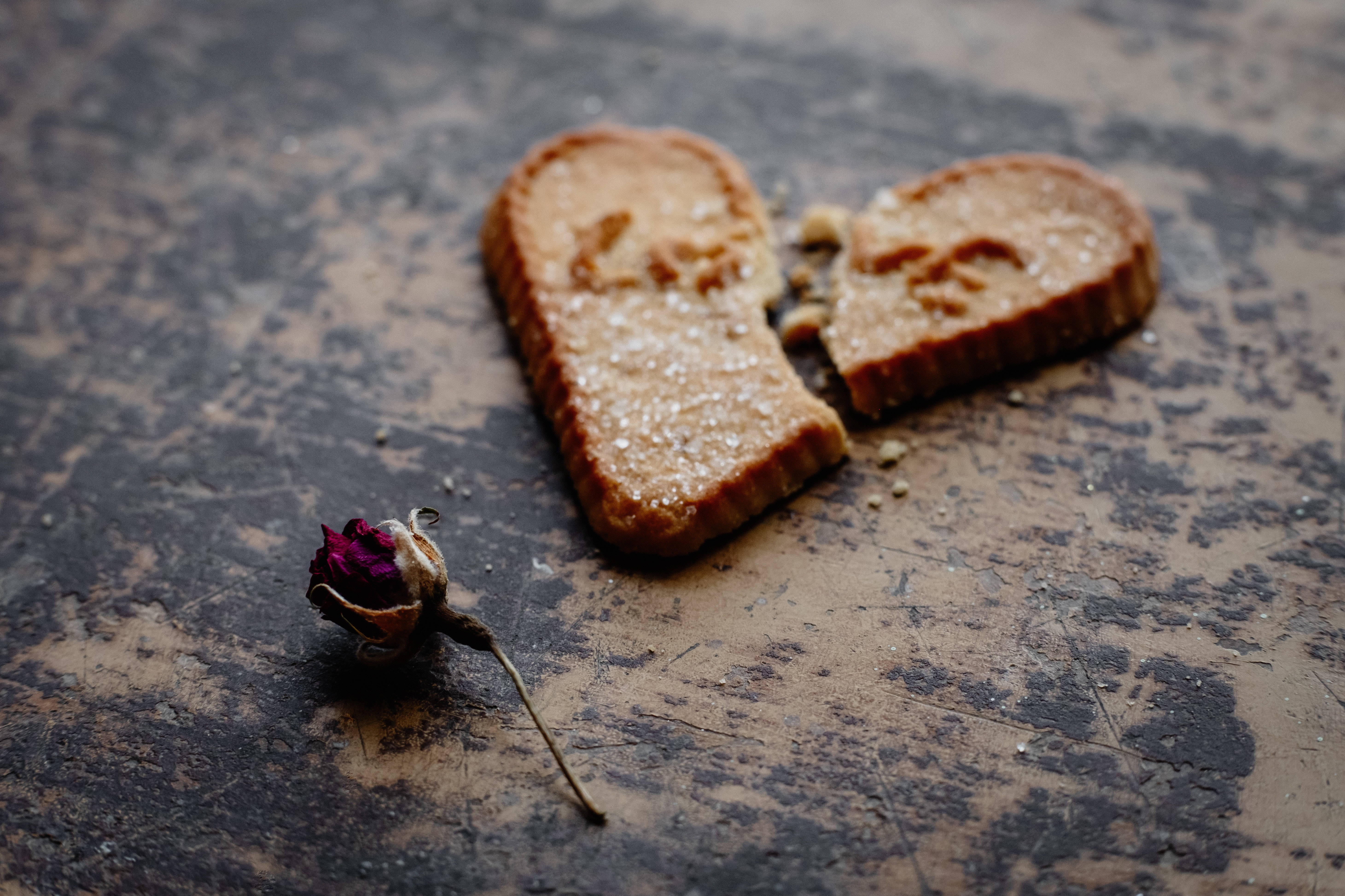 One Sided Love, broken heart-shaped cookie, dried rosebud, 5K Desktop Wallpaper
