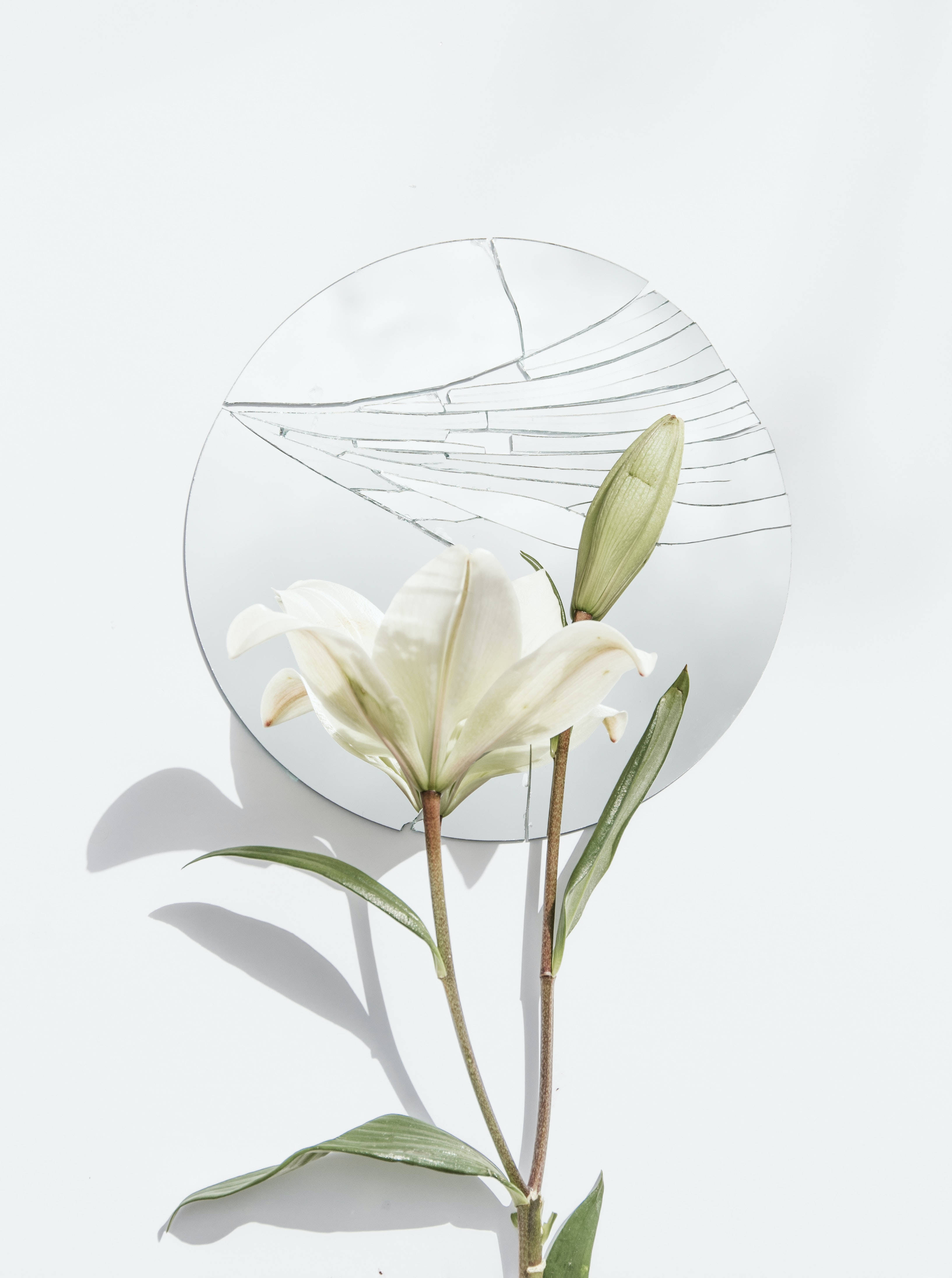 One Sided Love, broken mirror, white lily, 4K Phone Wallpaper