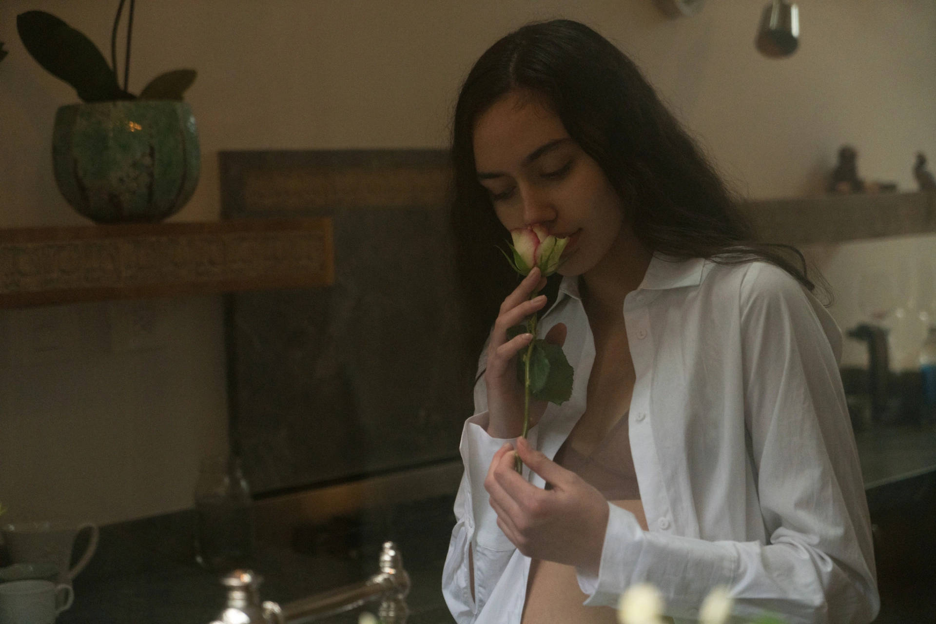 One Sided Love, rose, white shirt, Full HD Desktop Wallpaper