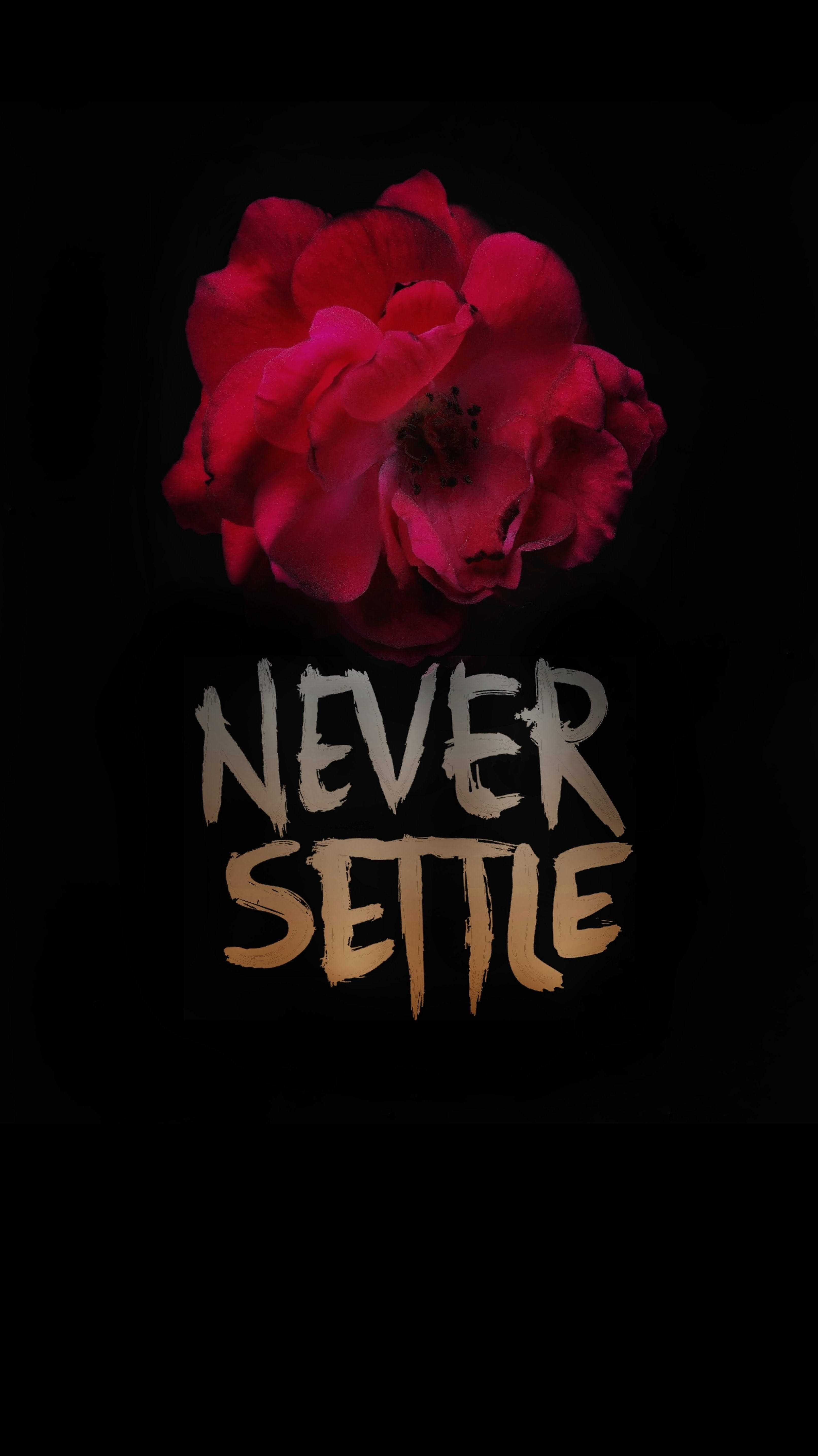 OnePlus 7 Pro, rose, black background, 5K Phone Wallpaper