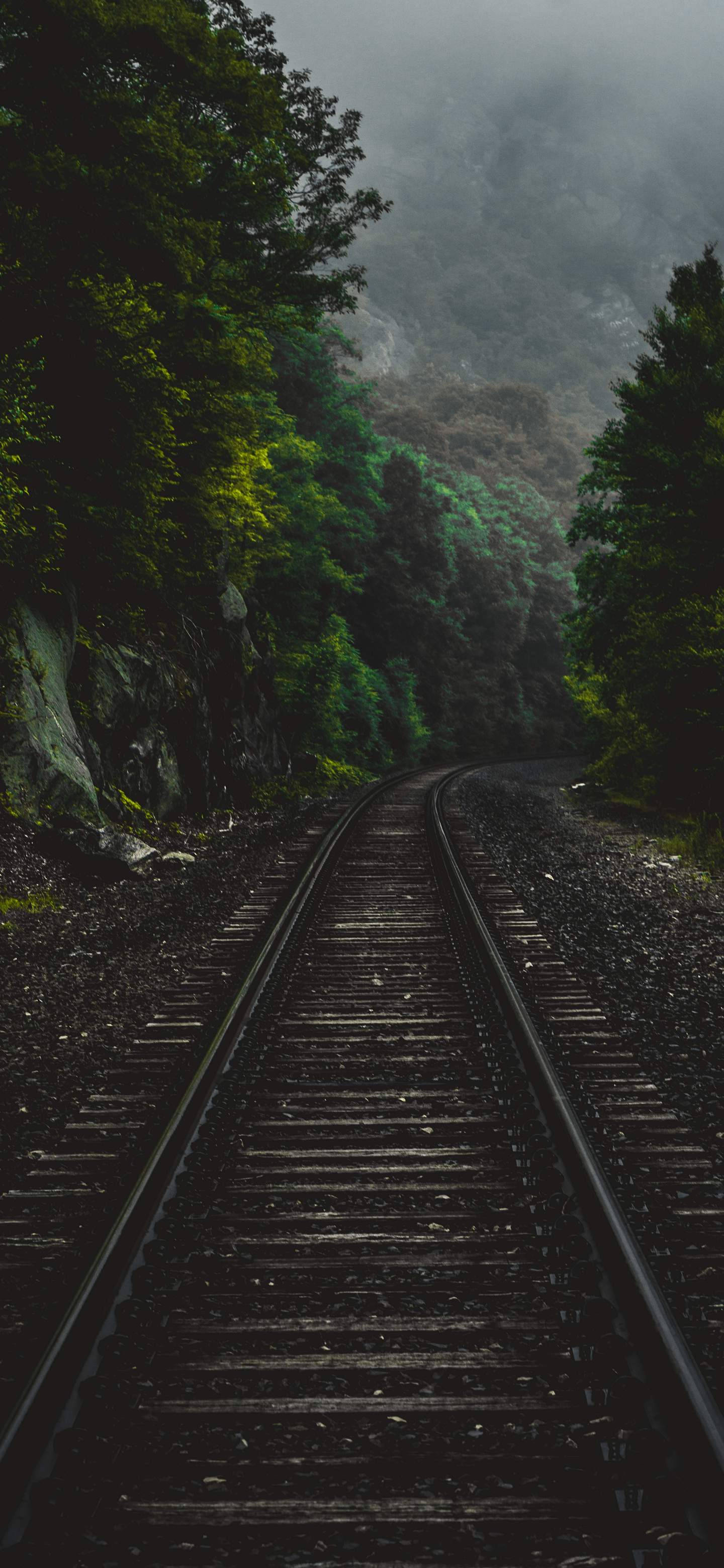 OnePlus 7 Pro, railroad, misty forested valley, 2K Phone Wallpaper
