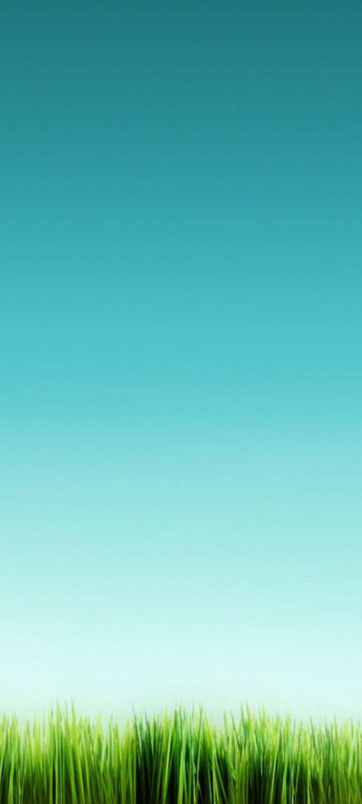 Oneplus 8 Pro, teal, pale blue, 2K Phone Wallpaper