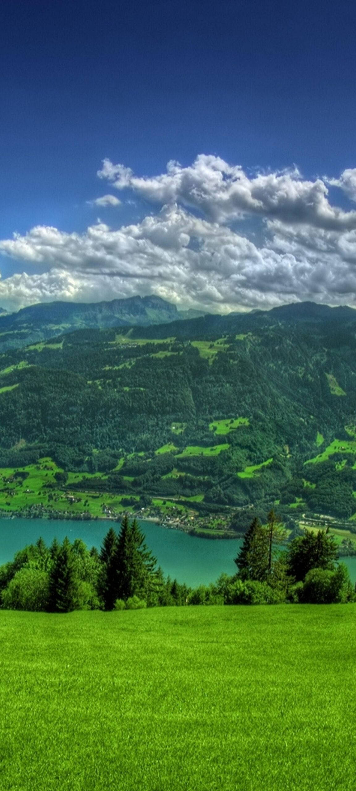 Oneplus 8 Pro, green meadow, turquoise lake, 2K Phone Wallpaper