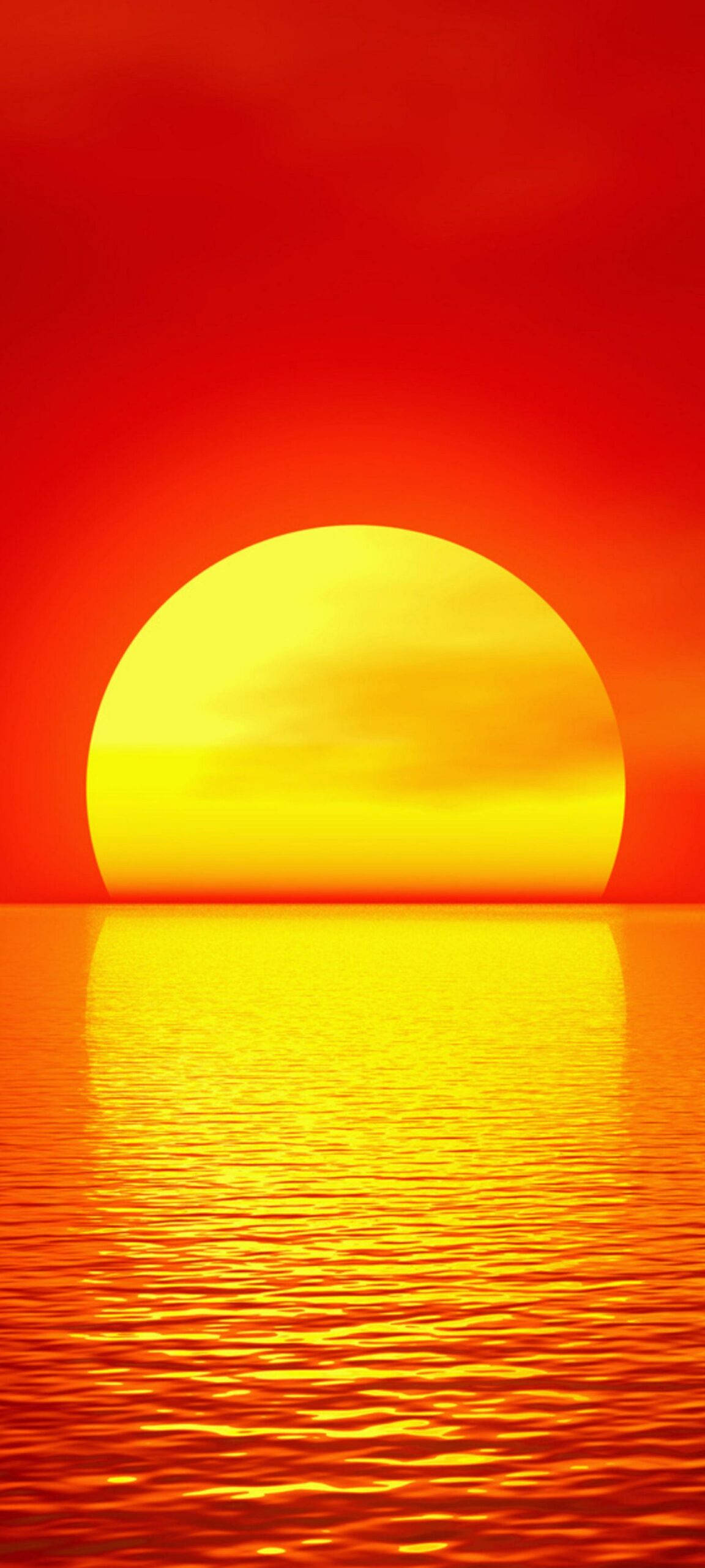 Oneplus 8 Pro, golden sun, calm ocean, 2K Phone Wallpaper