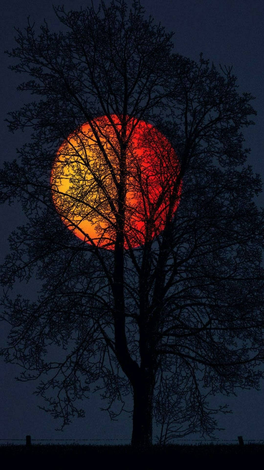 OnePlus 9R, red, full moon, Full HD Phone Wallpaper