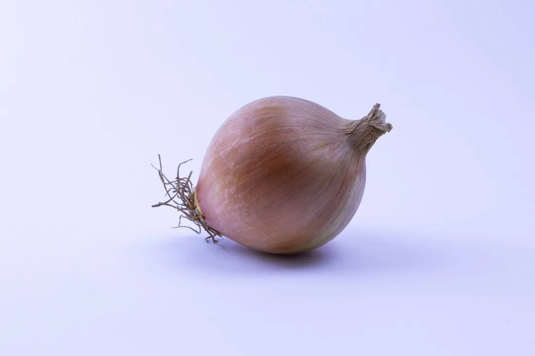 Onion