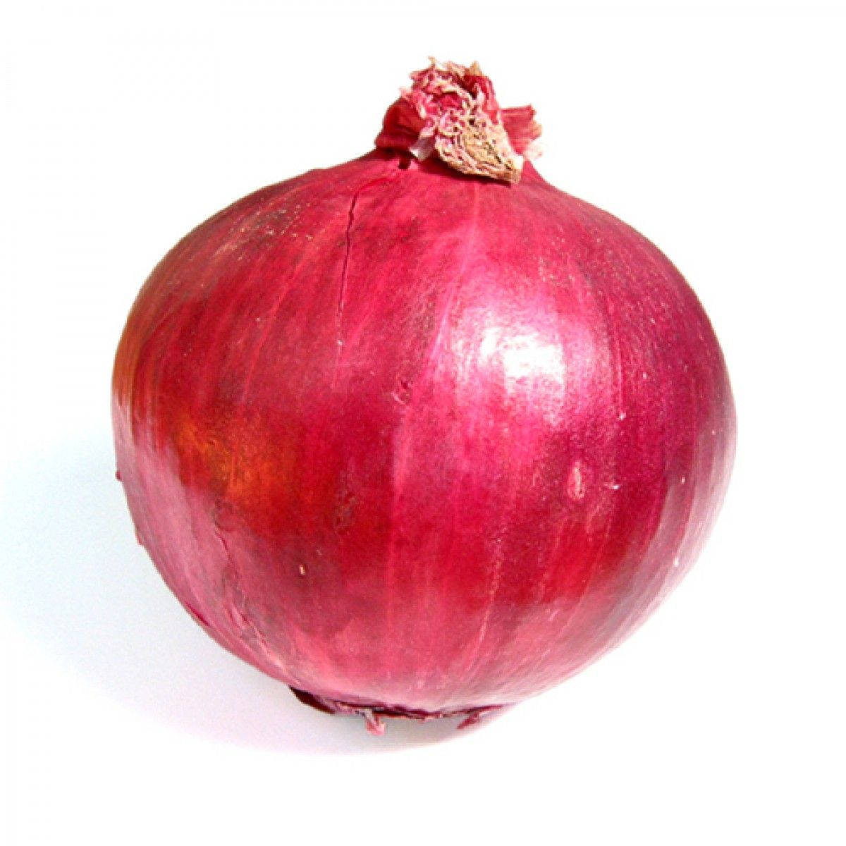 red onion, glossy skin, dried stem, SD Desktop Wallpaper
