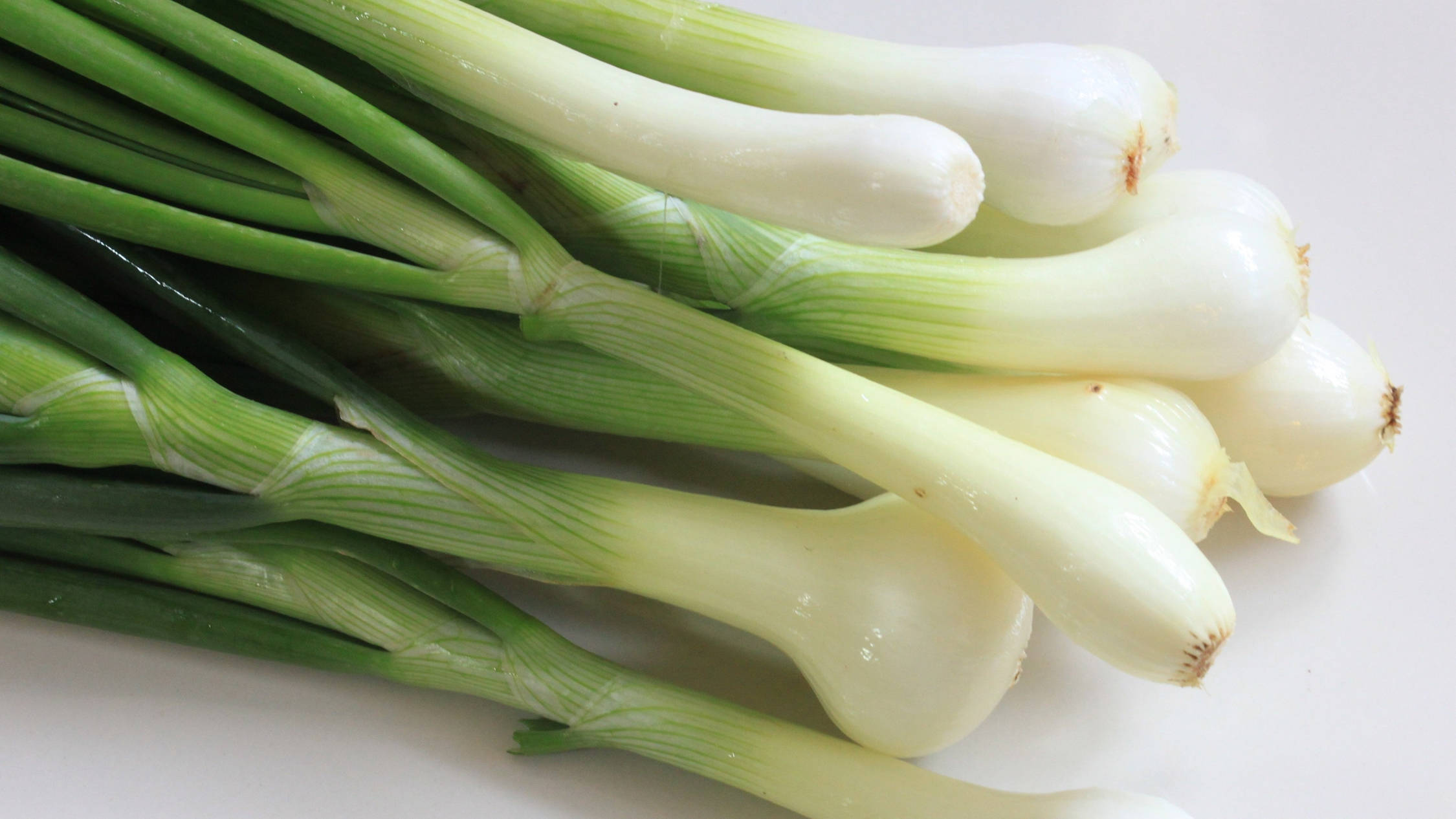 fresh spring onion, crisp white bulbs, vibrant green stalks, Full HD Desktop Wallpaper