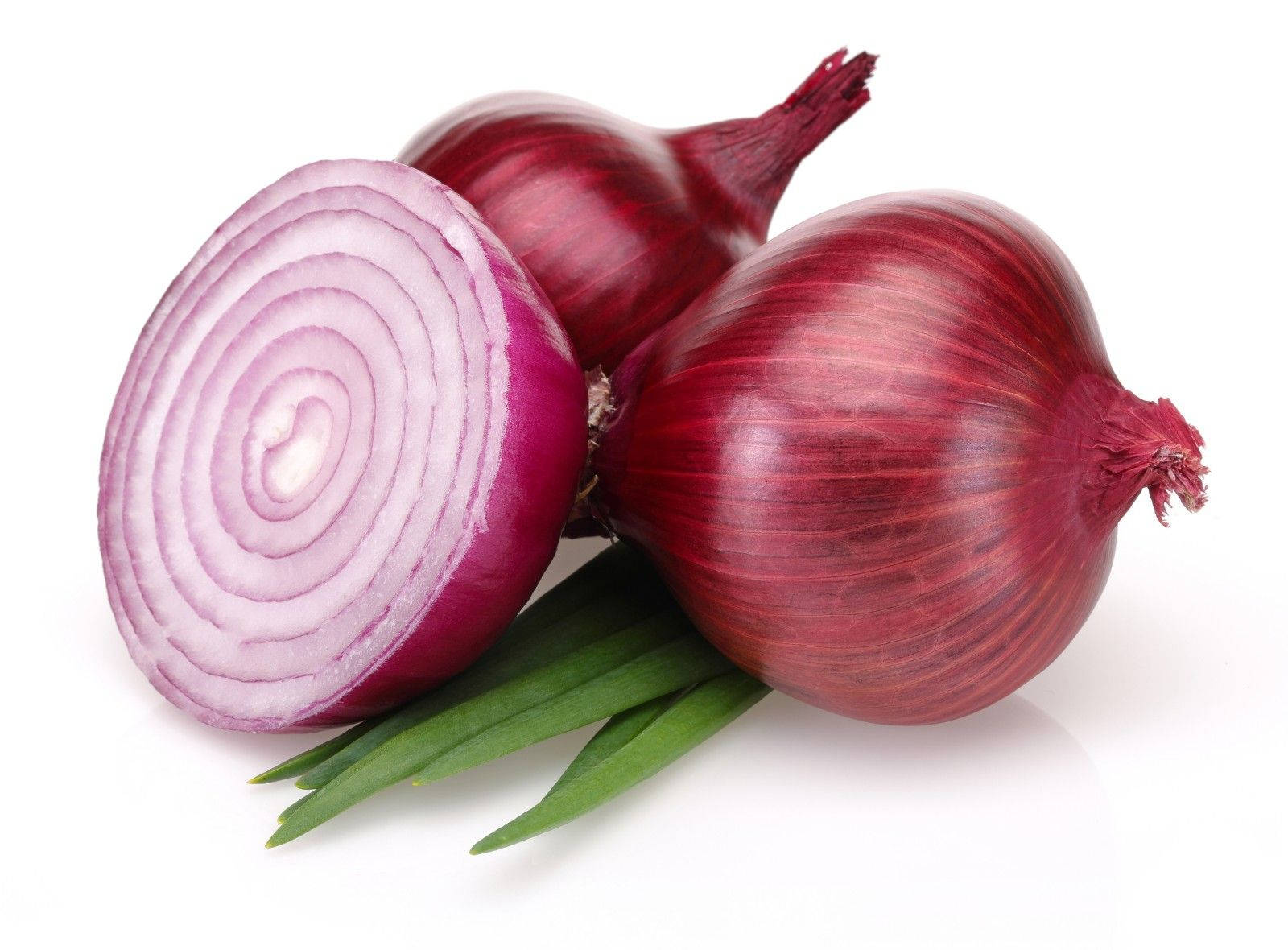 red onions, concentric purple rings, green sprouts, HD Desktop Wallpaper
