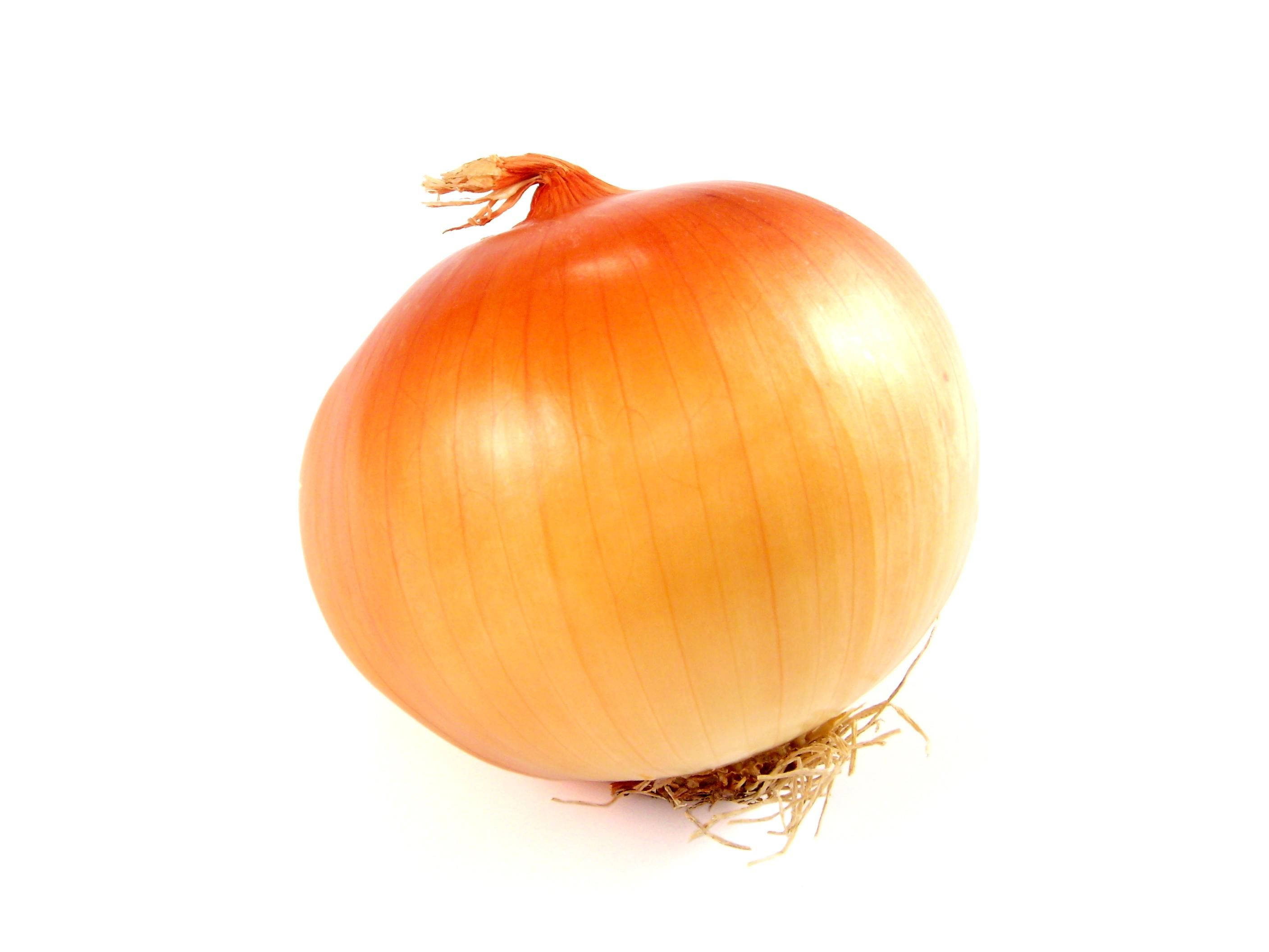 perfect onion, yellow orange peel, golden onion, 2K Desktop Wallpaper