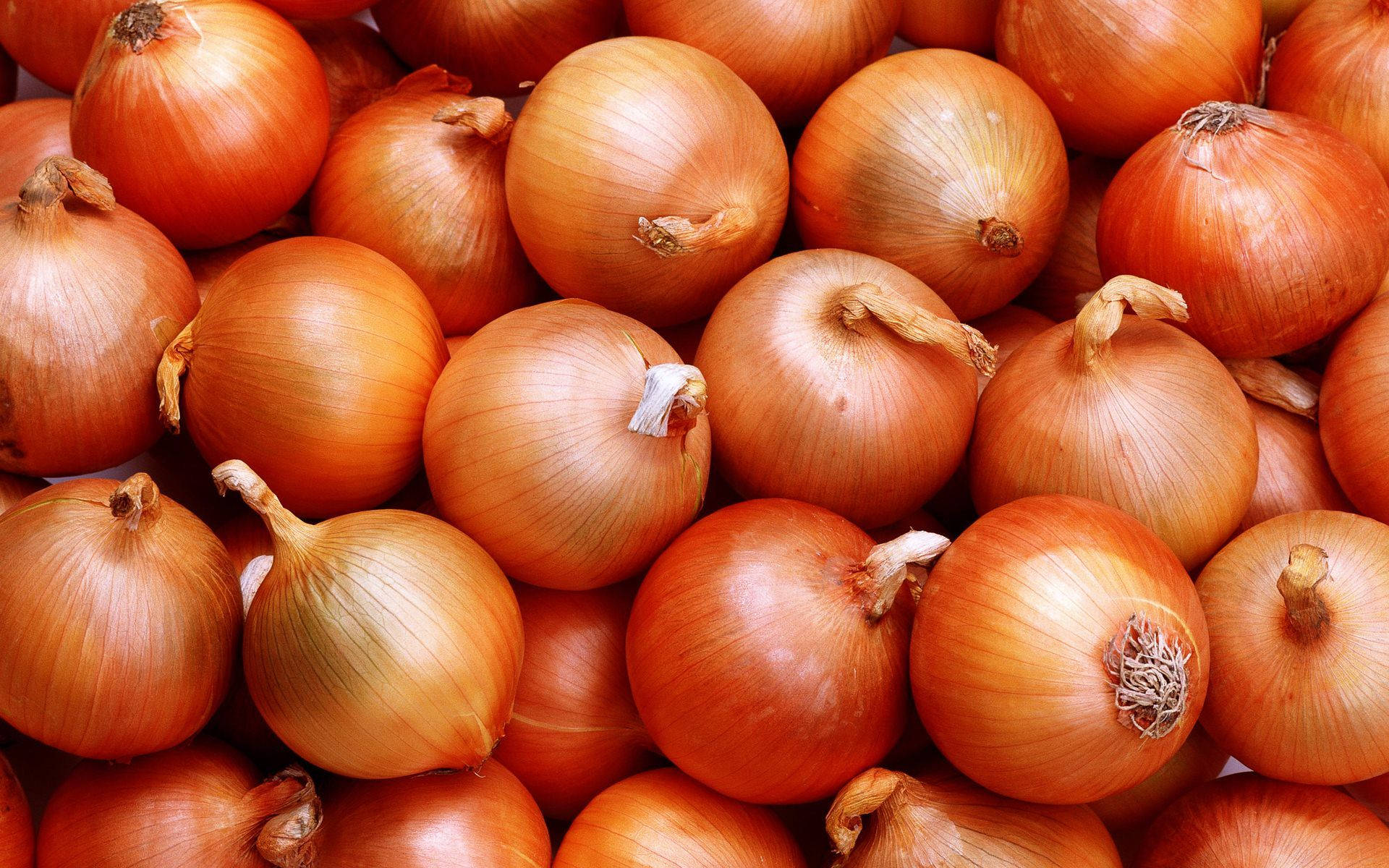 onions, golden brown, textured skins, Full HD Desktop Wallpaper