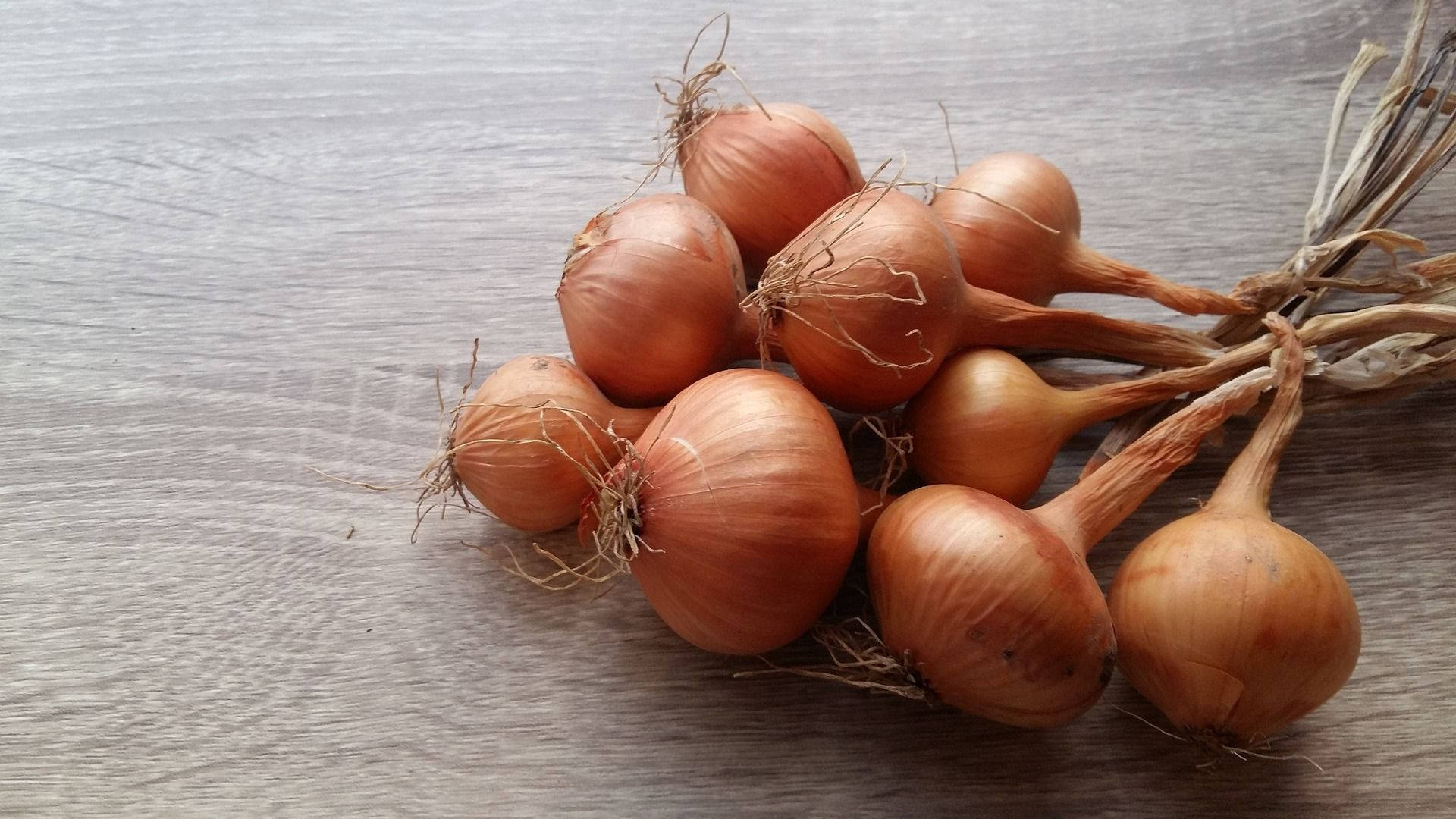 bunch of onions, brown onions, dry roots, Full HD Desktop Wallpaper