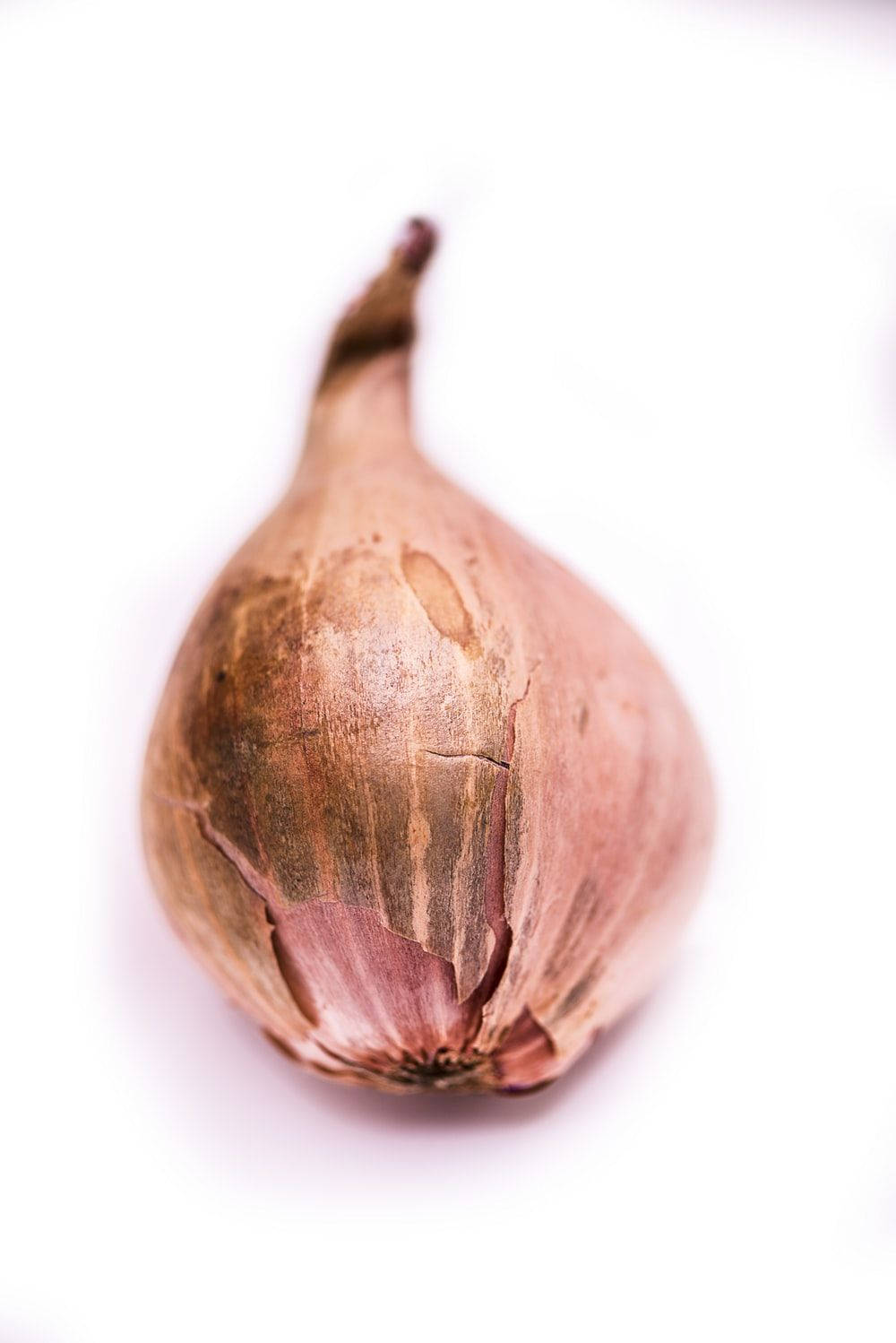 light brown, withered onion, dried shallot, HD Phone Wallpaper