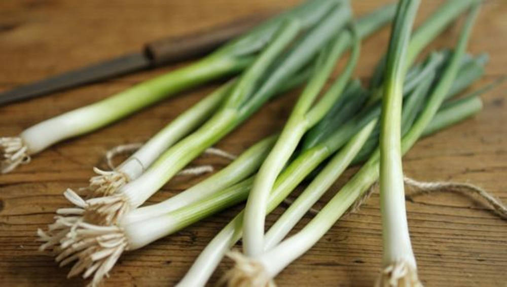 spring onion, scallions, brown knife, SD Desktop Wallpaper