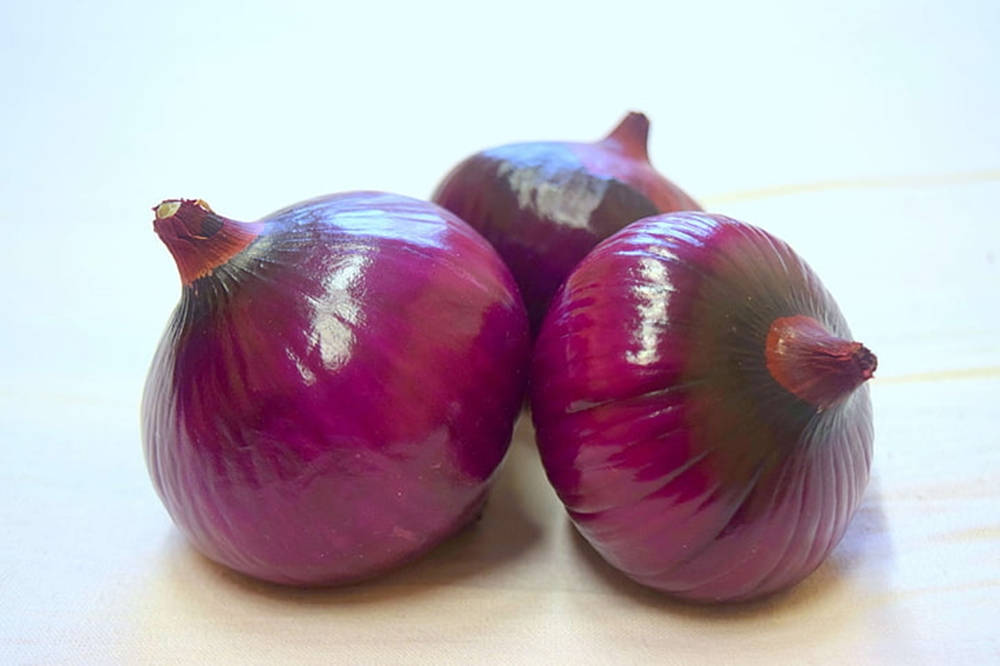 red onion, glossy, purple, SD Desktop Wallpaper