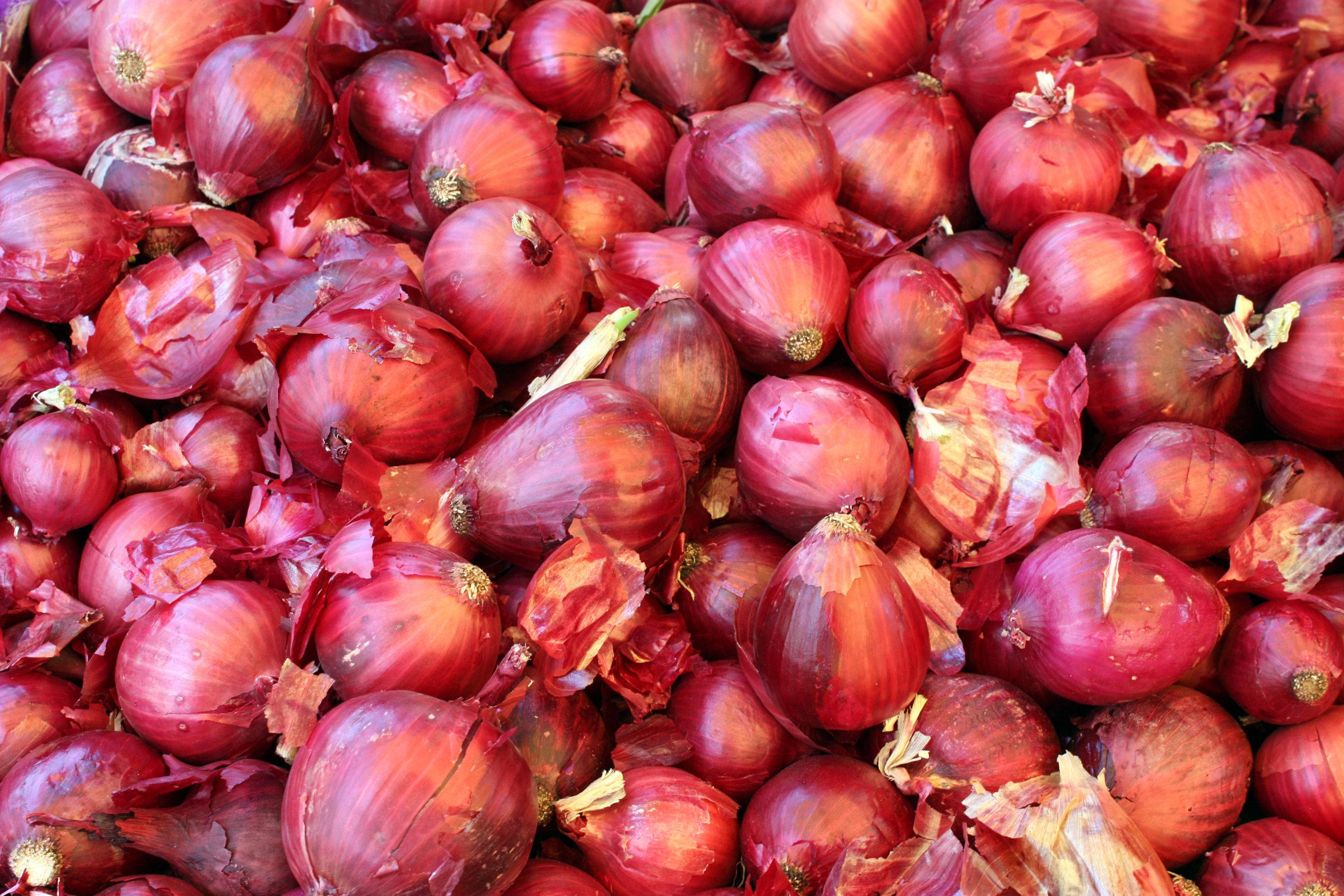 red onions, papery skins, glossy skins, 2K Desktop Wallpaper