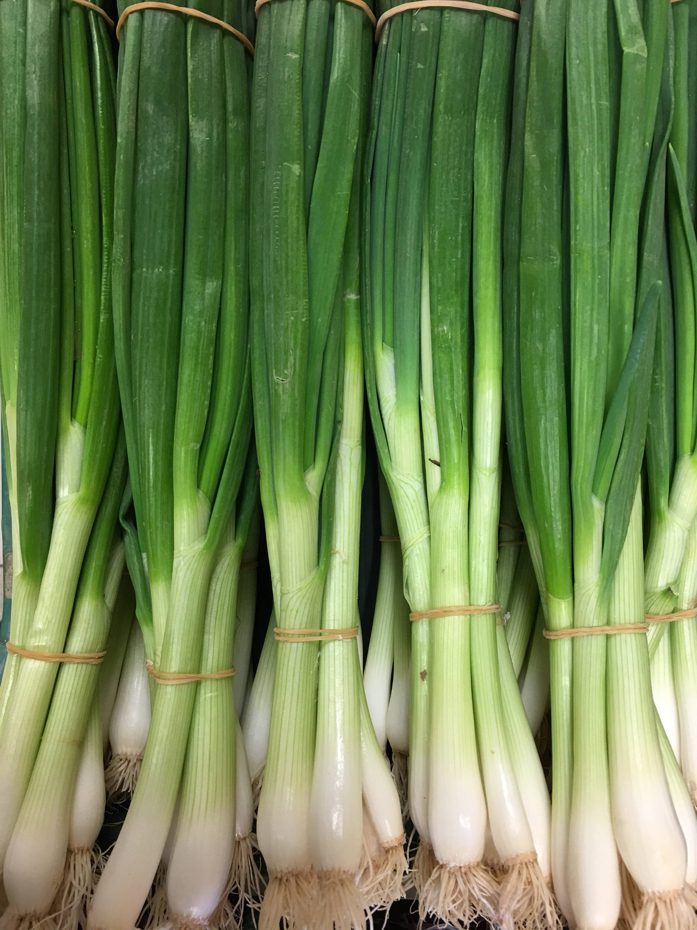 spring onion, fresh vegetable bundles, green onions, 2K Phone Wallpaper